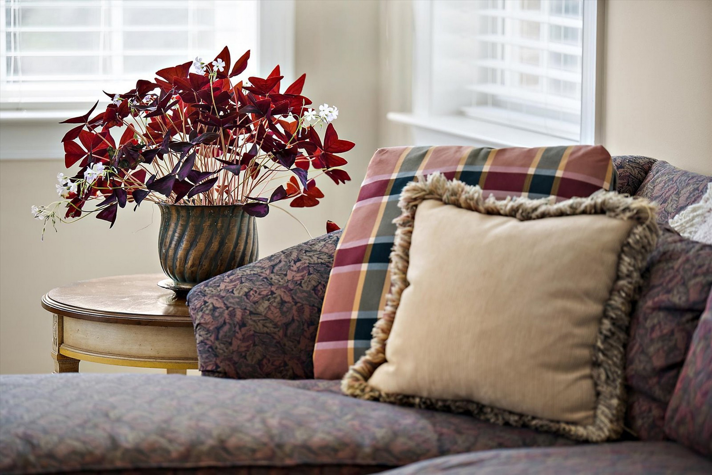  THE PRESERVE AT CLARKSVILLE - 物件實景