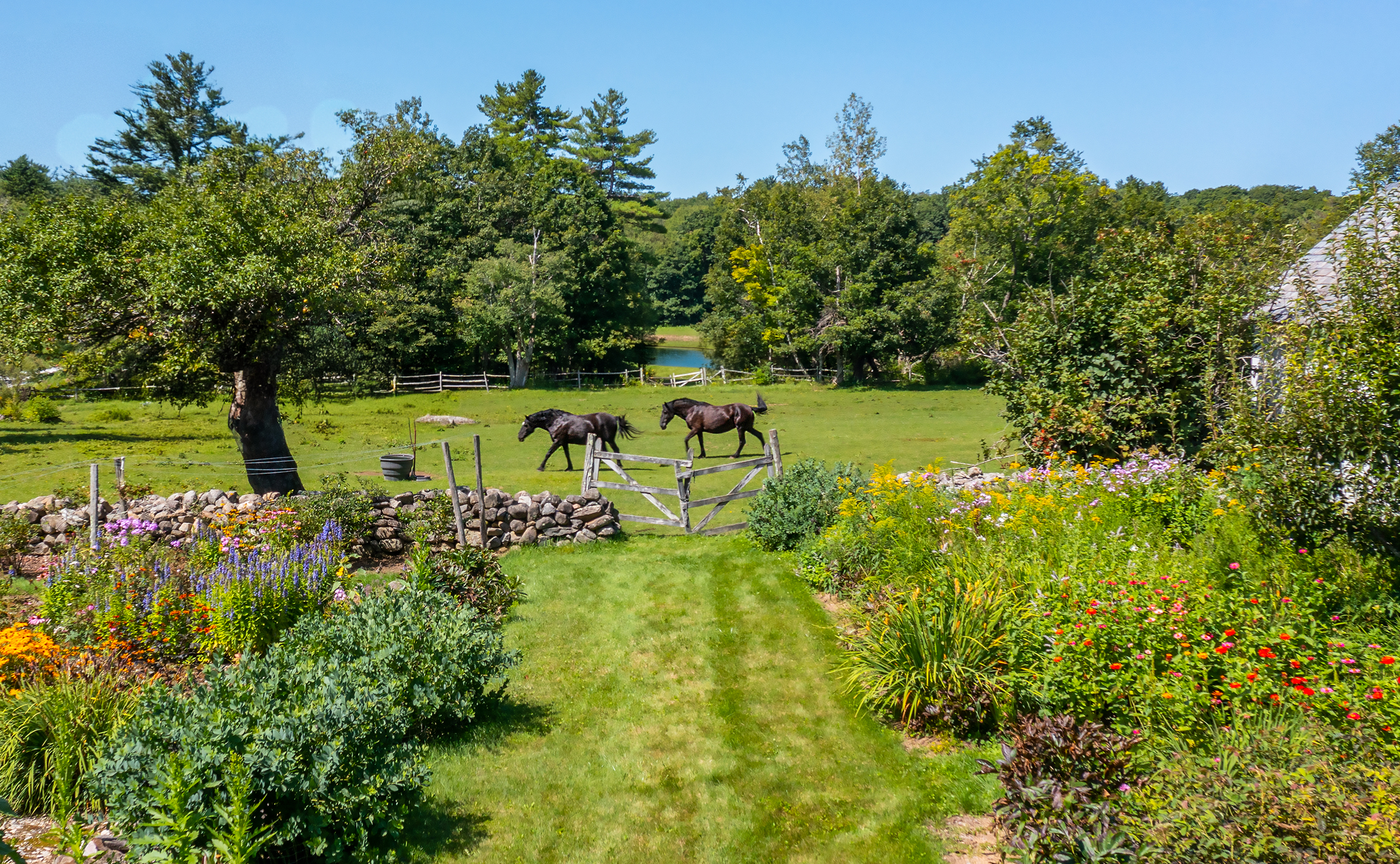  227 ACRES, 227 YEARS: 1798 COLONIAL FARM WITH SPECTACULAR ACREAGE AND RESTORED G - 物件實景