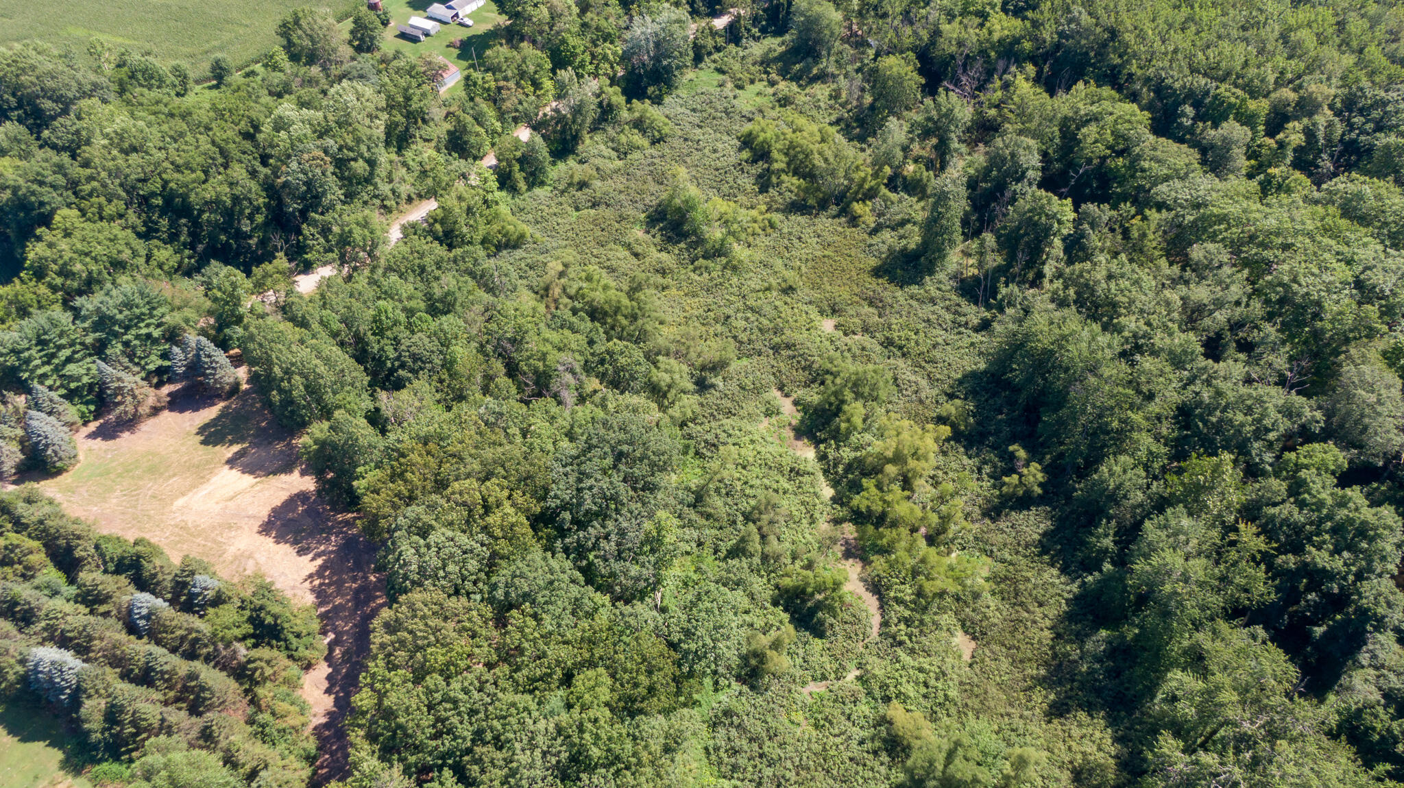Union Pier, Michigan, 49129, United States, ,Land,For Sale,1988293