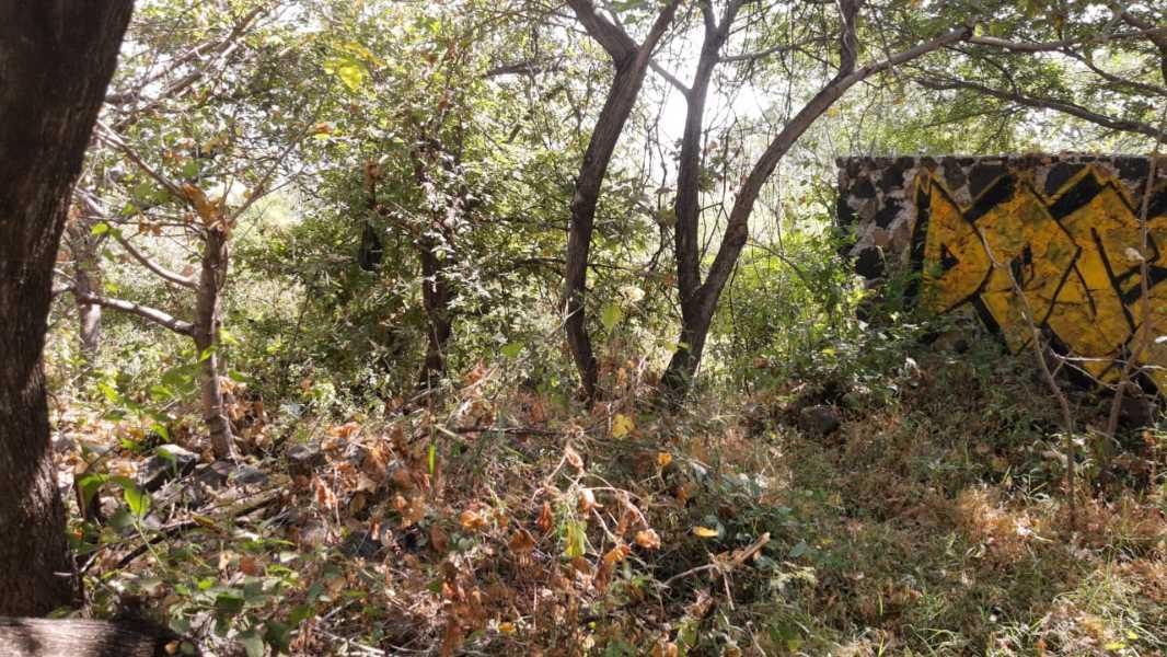 5 DE MAYO, Yautepec, Morelos, 62737, Mexico, 1 Bedroom Bedrooms, ,Residential,For Sale,5 DE MAYO,1444065