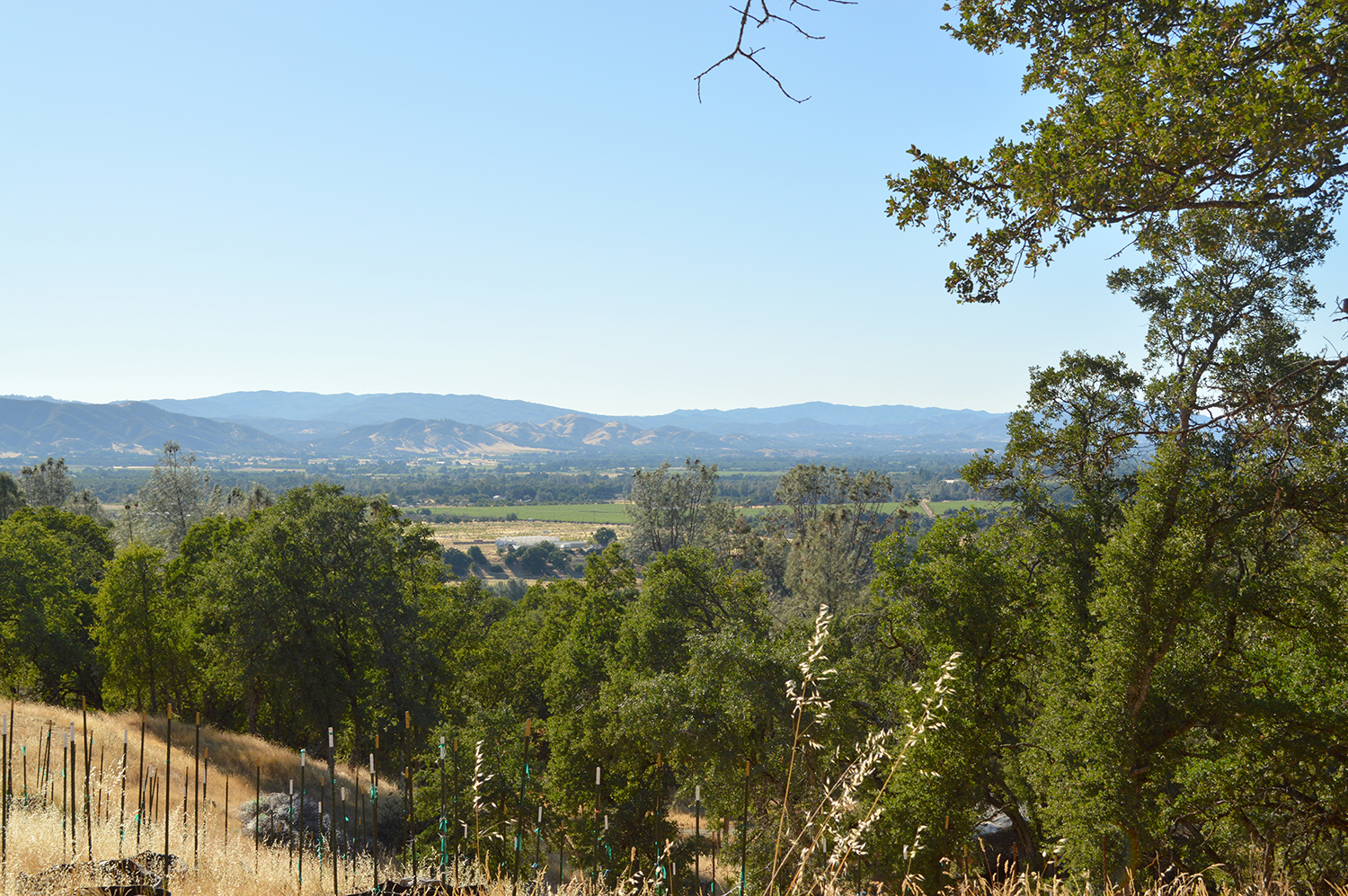 Kelseyville, California, 95451, United States, 2 Bedrooms Bedrooms, ,2 BathroomsBathrooms,Residential,For Sale,1856592