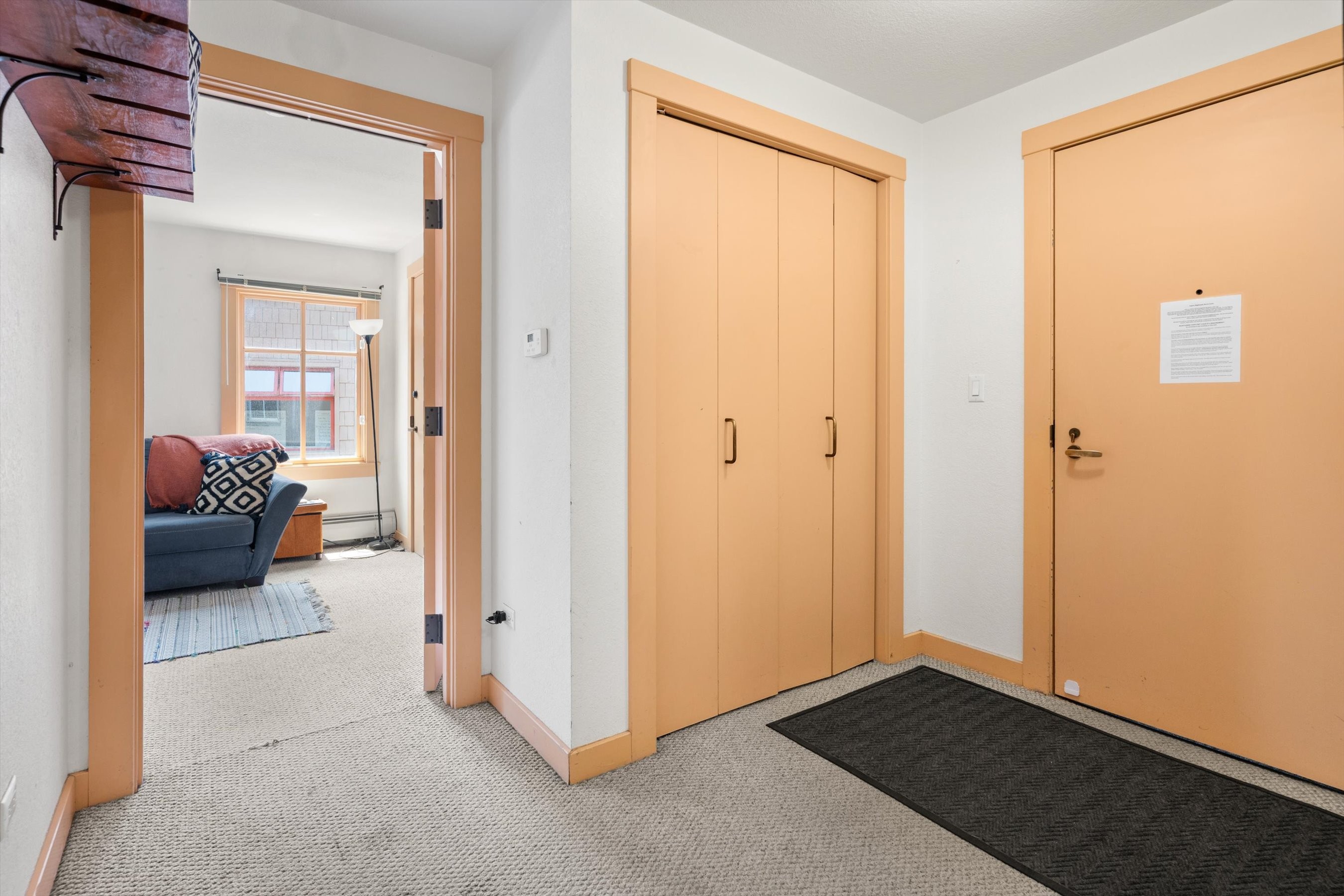  115 Boomerang Road, Aspen, CO, 81611 - 物件實景