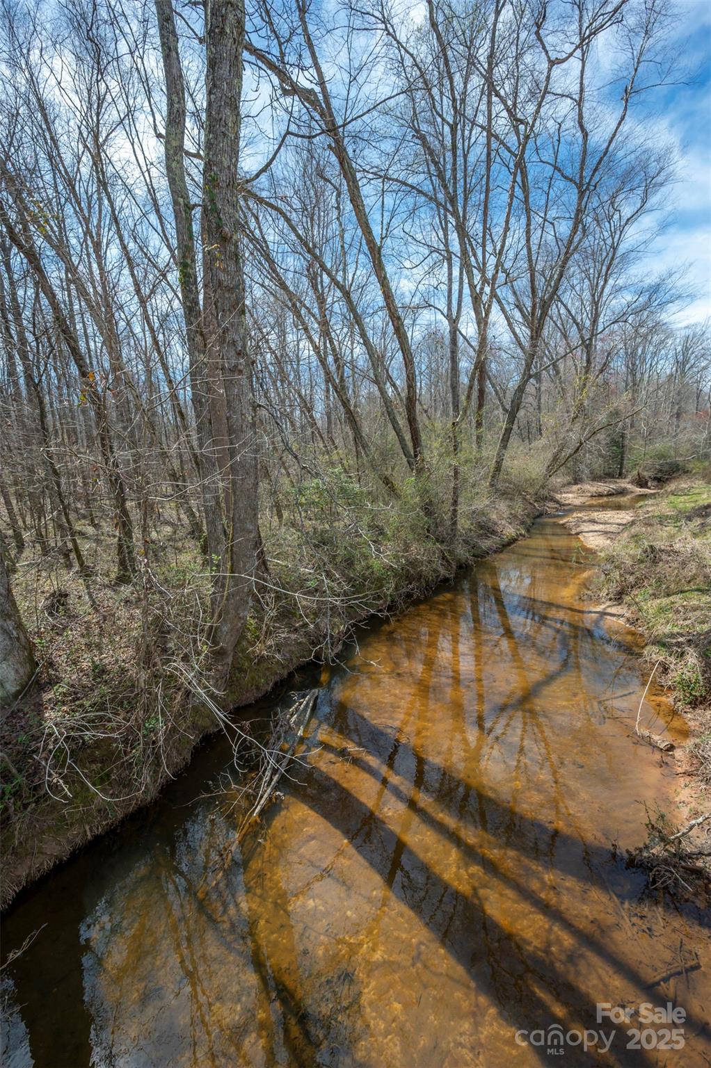 Rutherfordton, North Carolina, 28139, United States, 3 Bedrooms Bedrooms, ,2 BathroomsBathrooms,Residential,For Sale,1932677