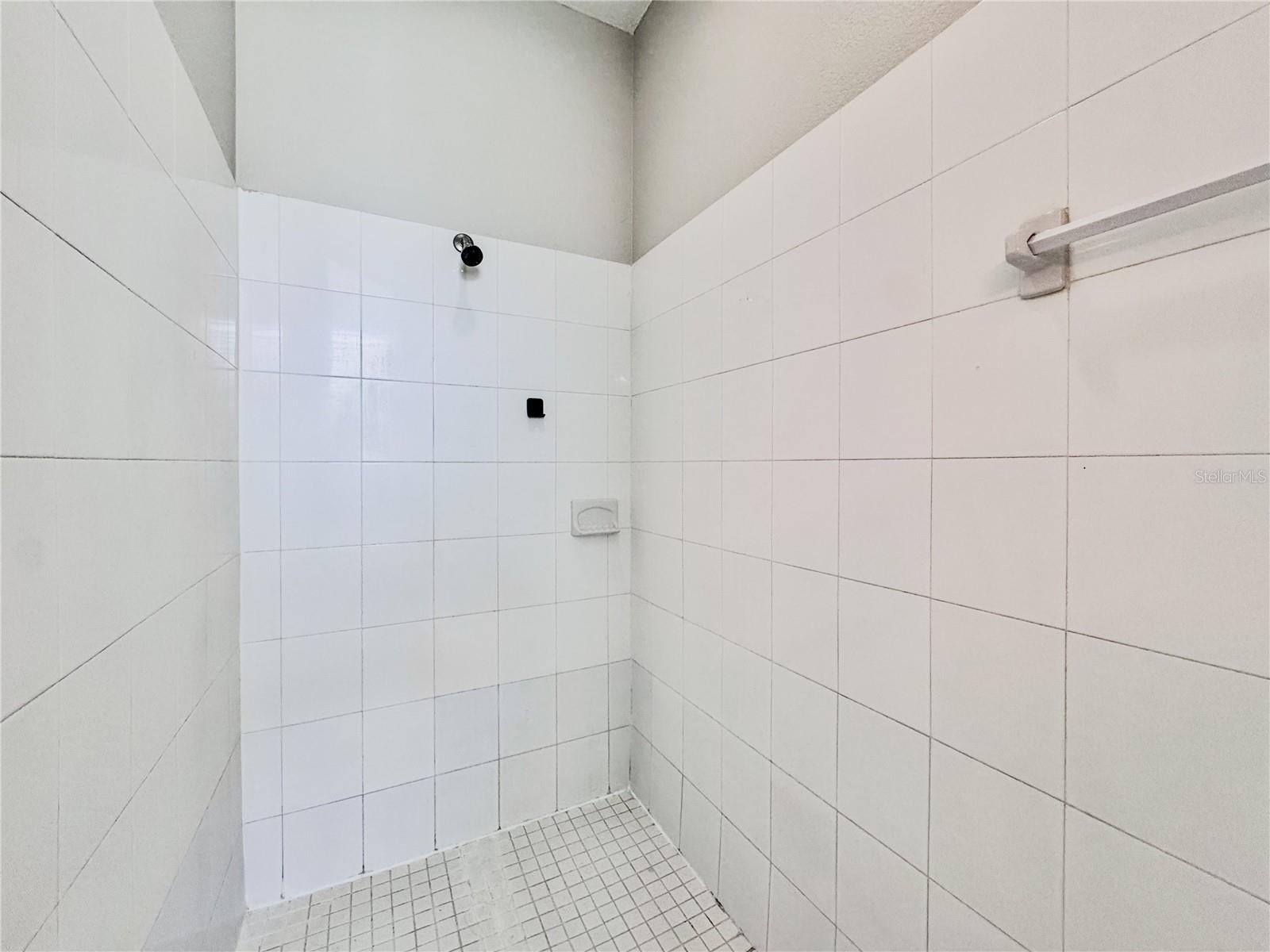 WINTER GARDEN, Florida, 34787, United States, 5 Bedrooms Bedrooms, ,3 BathroomsBathrooms,Residential,For Sale,1974111