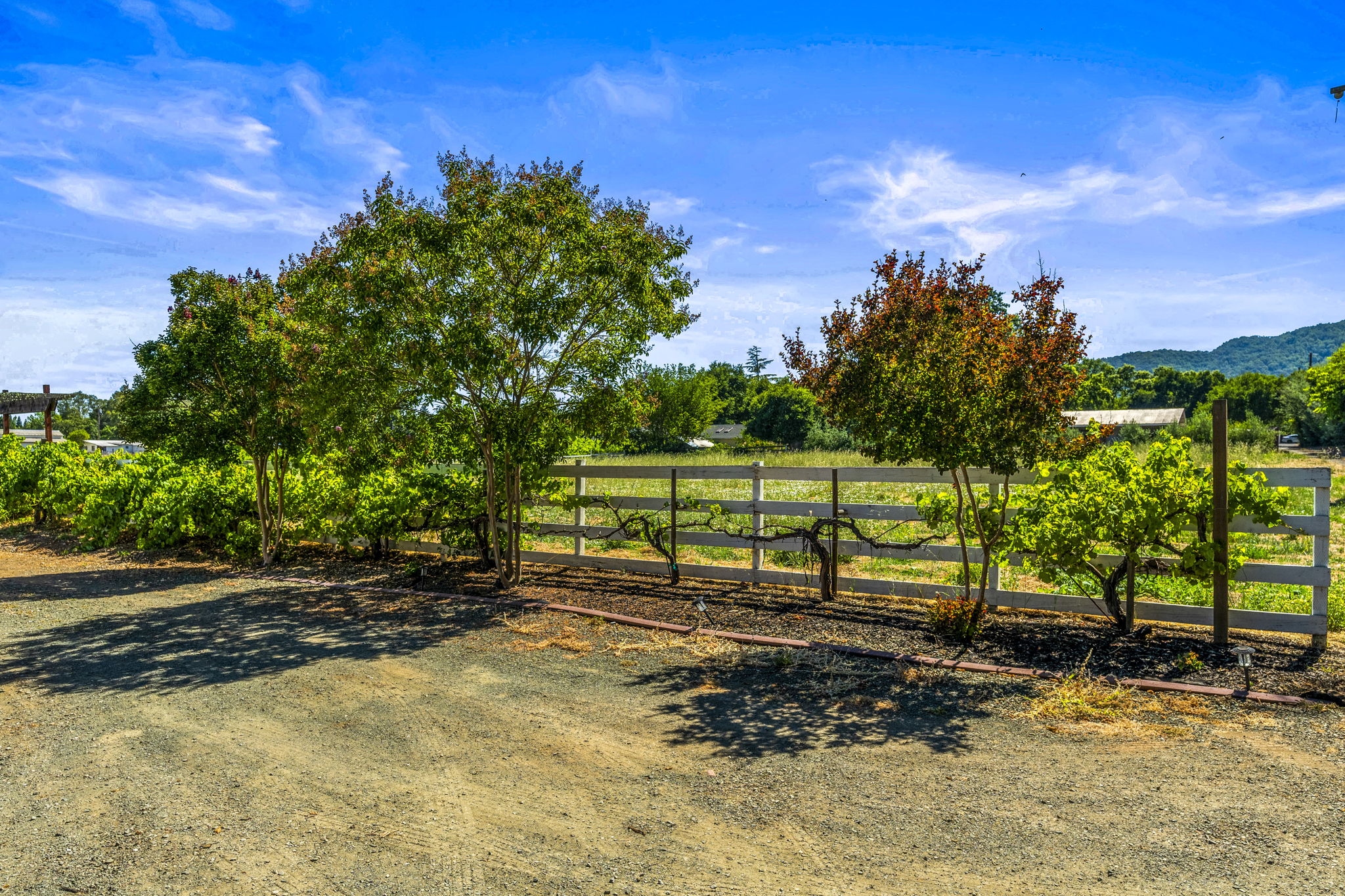  Domaine Sonoma - 物件實景