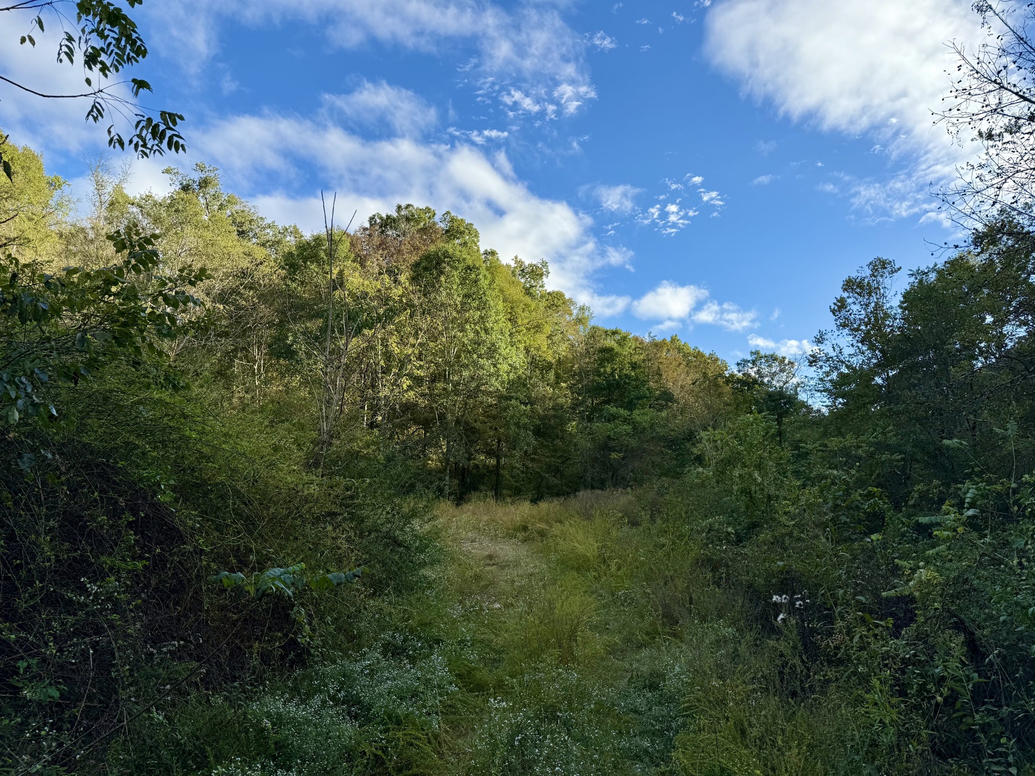 Lynchburg, Tennessee, 37388, United States, ,Land,For Sale,1982223