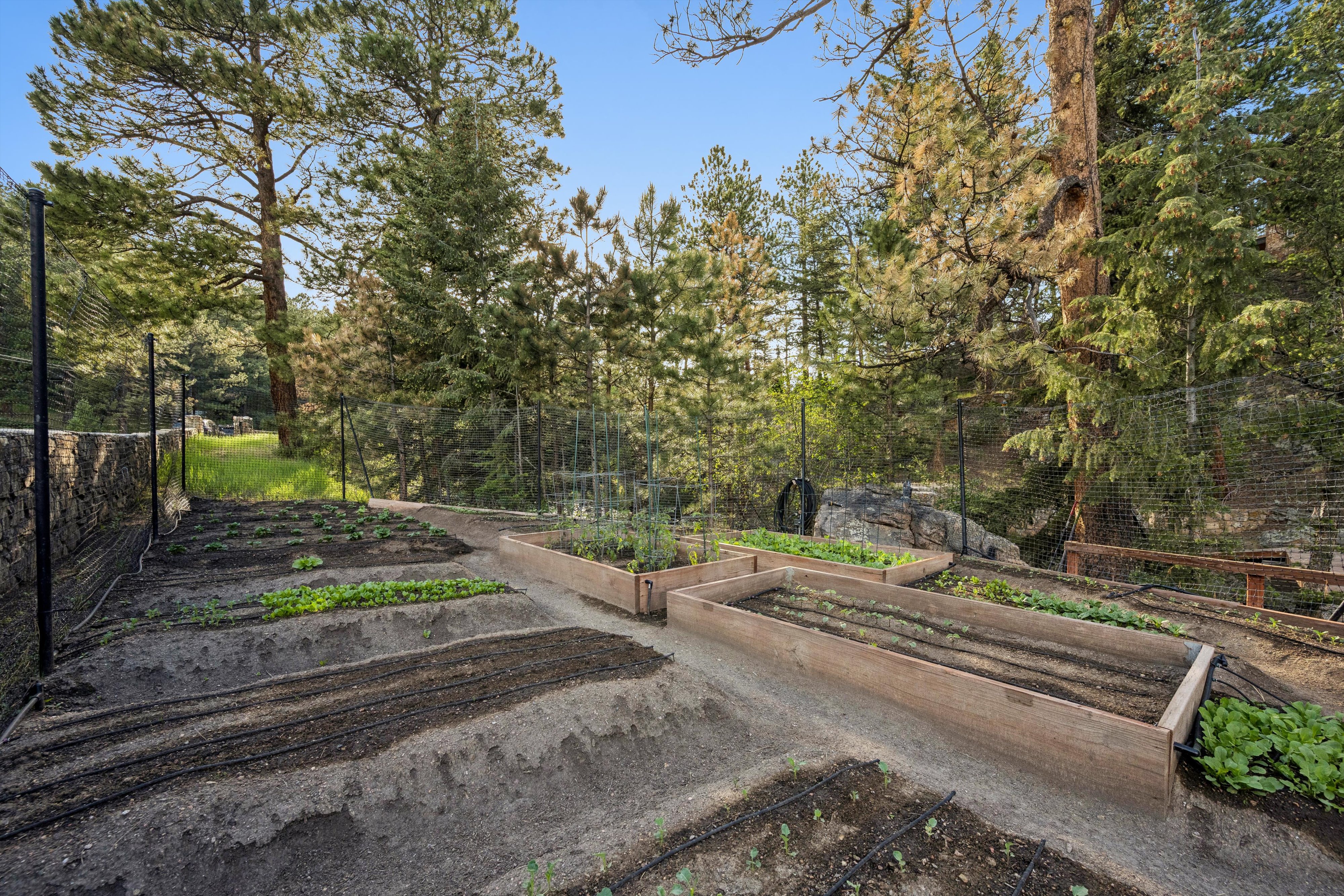 Luxury Mountain Estate in Celebrated Upper Bear Creek - 物件實景