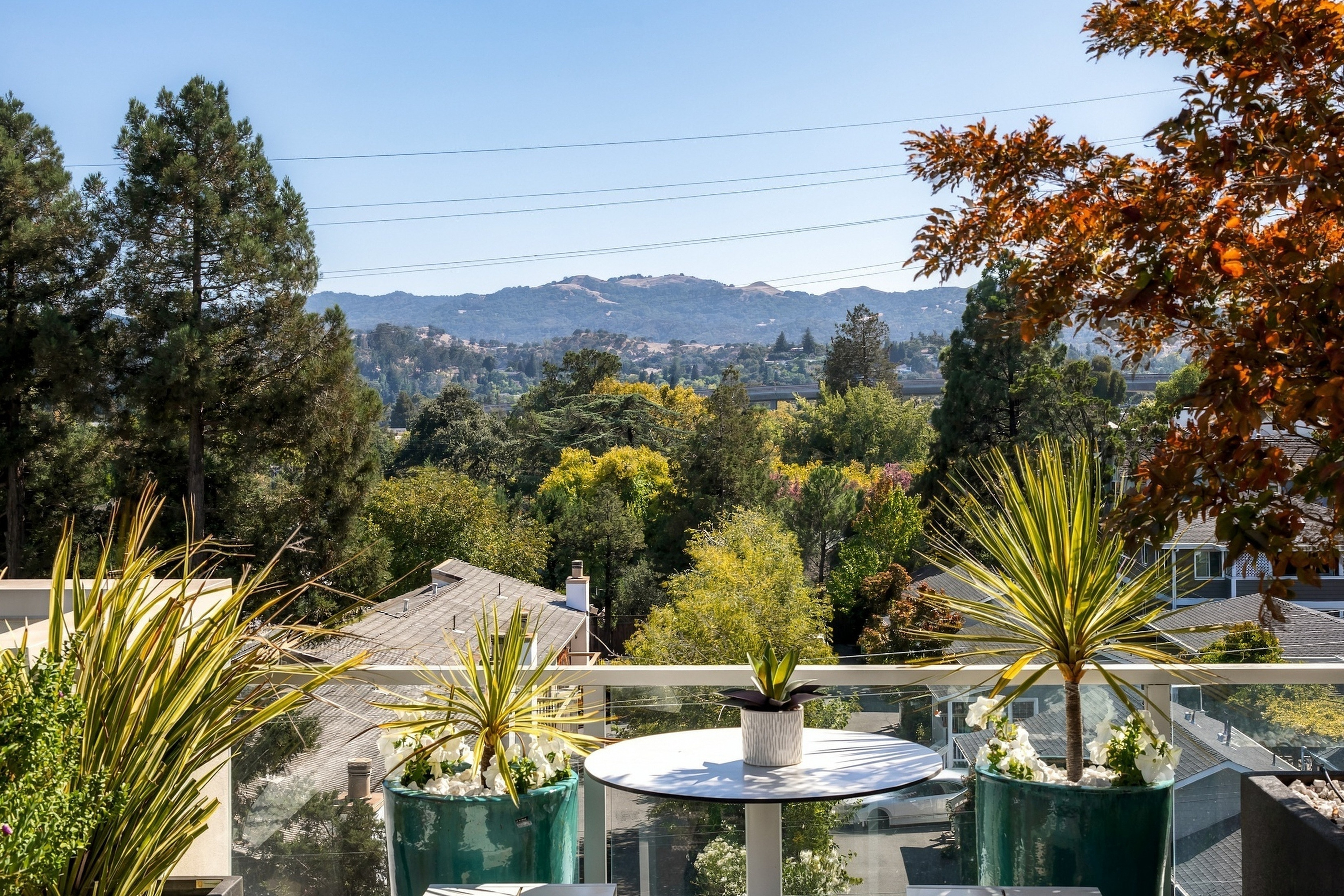  Penthouse Living Above Walnut Creek - 物件實景
