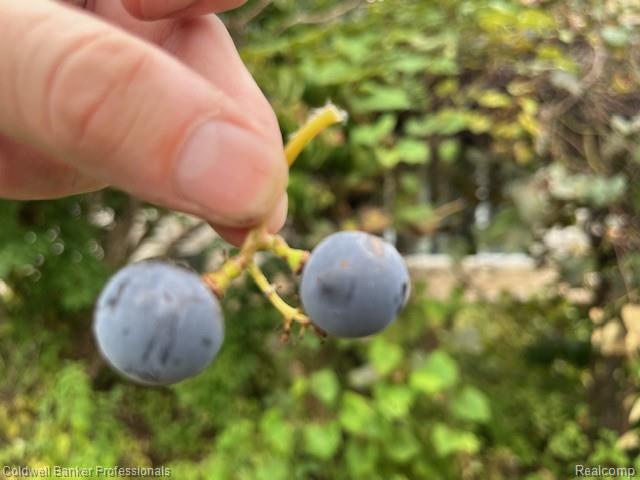 Highland, Michigan, 48356, United States, 4 Bedrooms Bedrooms, ,4 BathroomsBathrooms,Residential,For Sale,1994740