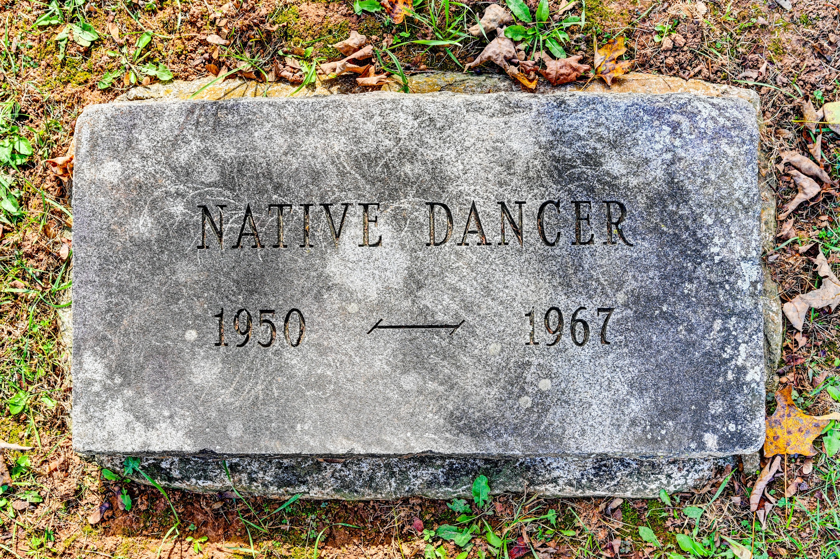  Worthington Valley - 物件實景