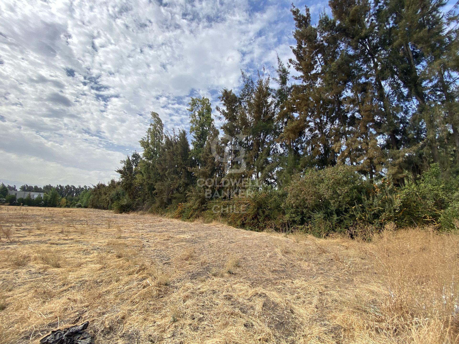 Colina, Chile, ,Land,For Sale,1751676