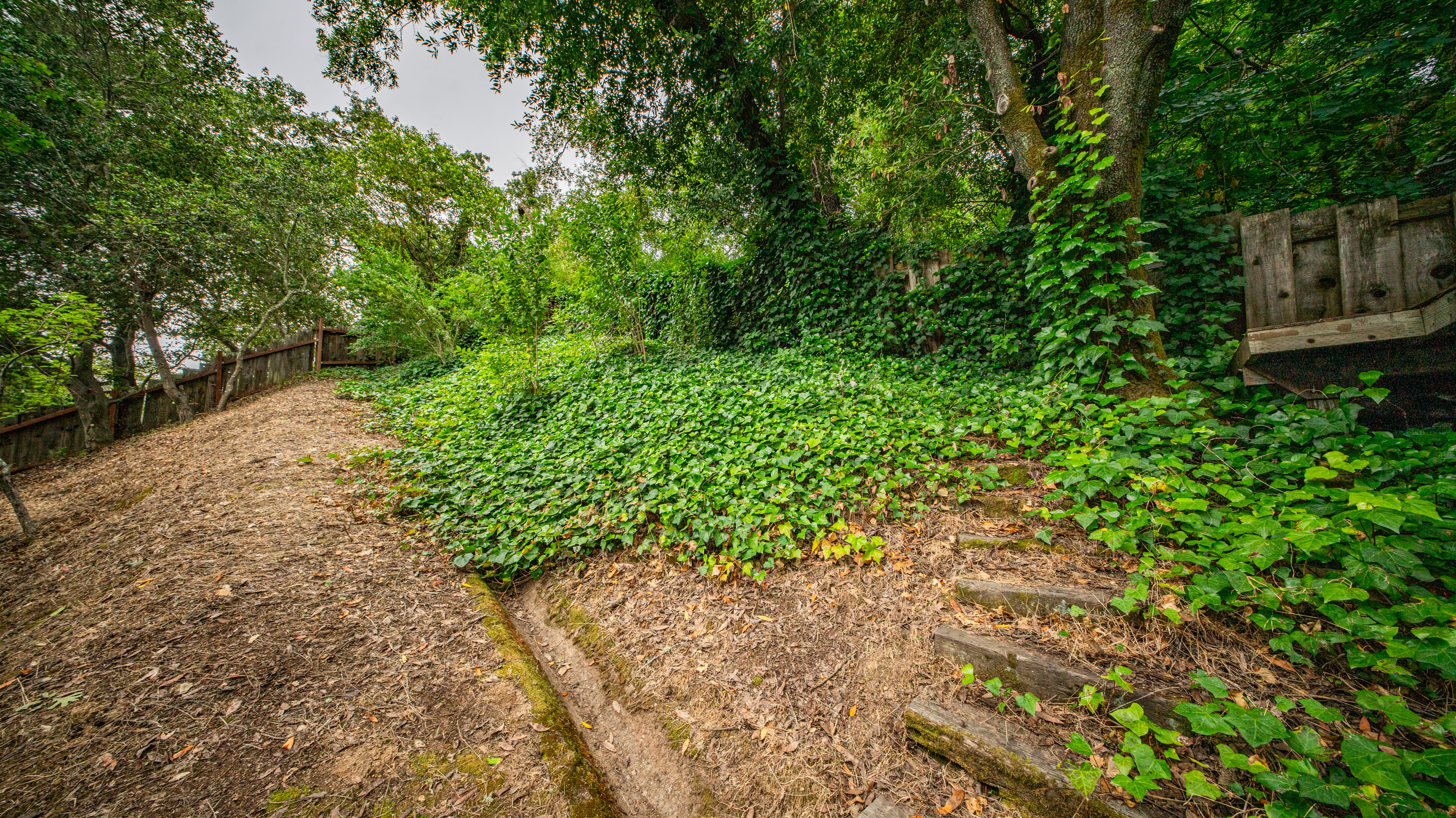  Expanded Single Story Home in Desirable Southern Novato - 物件實景