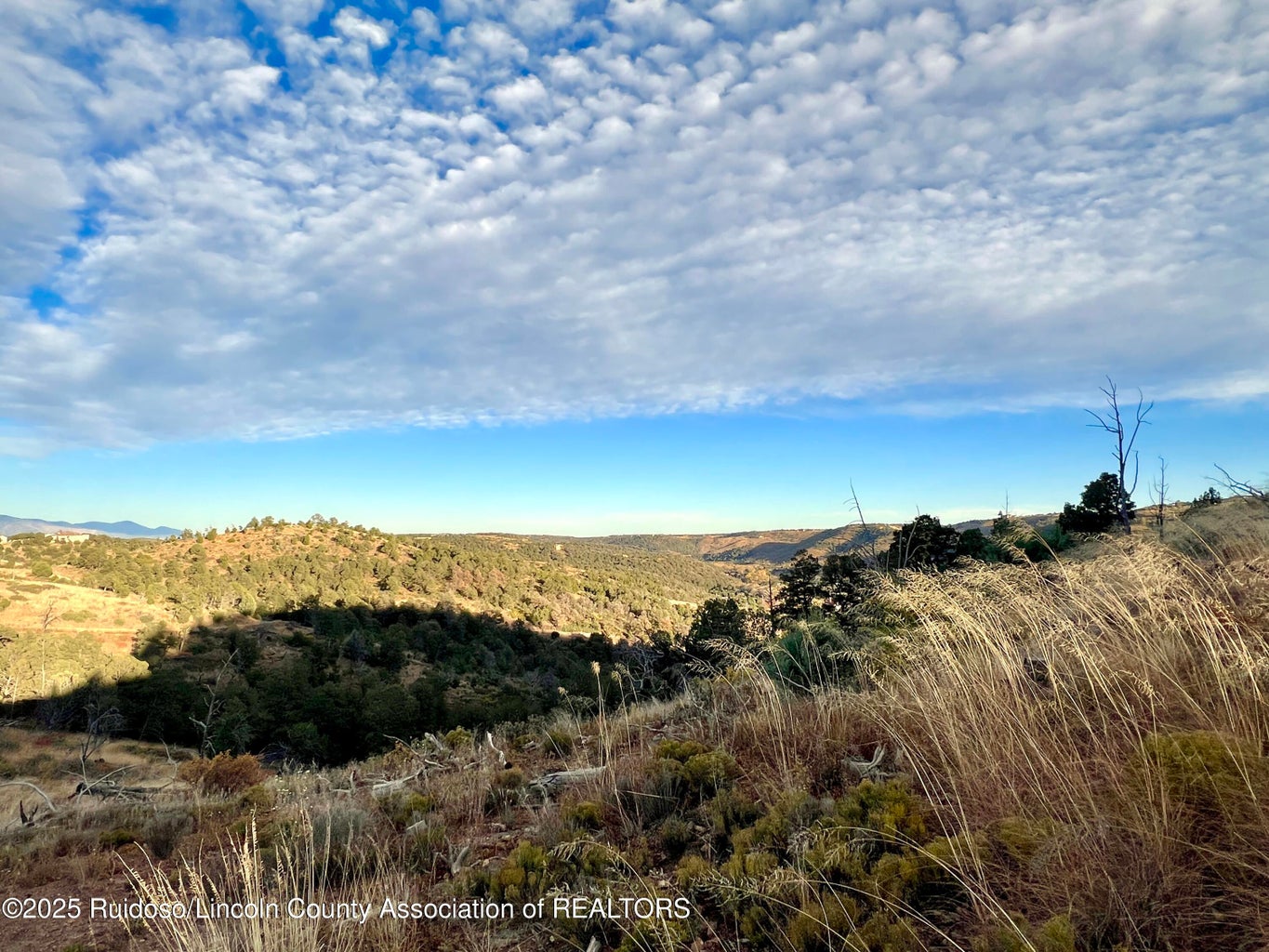 Nogal, New Mexico, 88341, United States, ,Land,For Sale,1988208