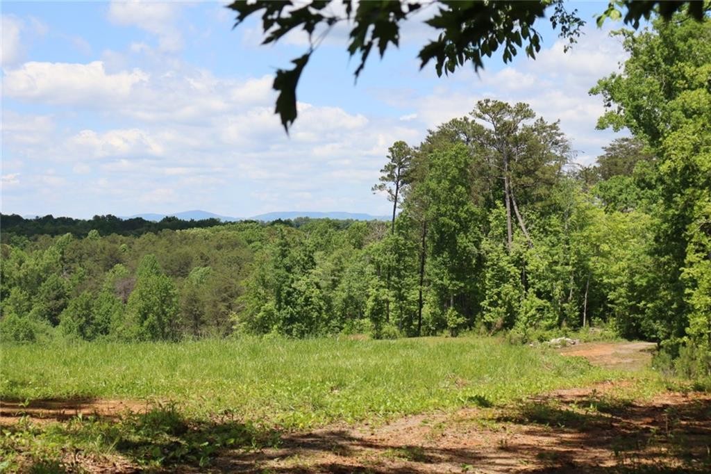 Ellijay, Georgia, 30540, United States, ,Residential,For Sale,1881390