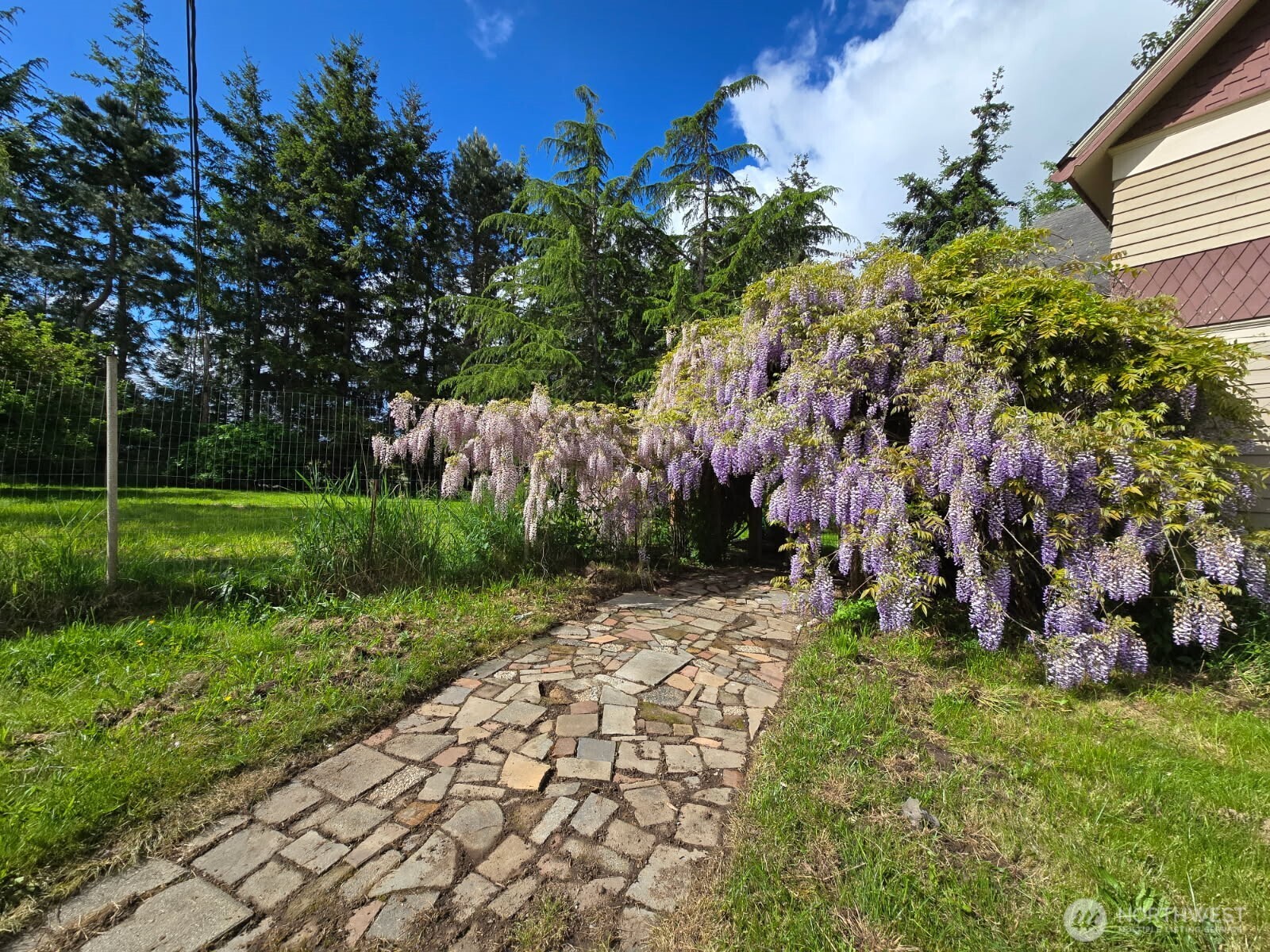Bellingham, Washington, 98226, United States, 3 Bedrooms Bedrooms, ,2 BathroomsBathrooms,Residential,For Sale,1917195