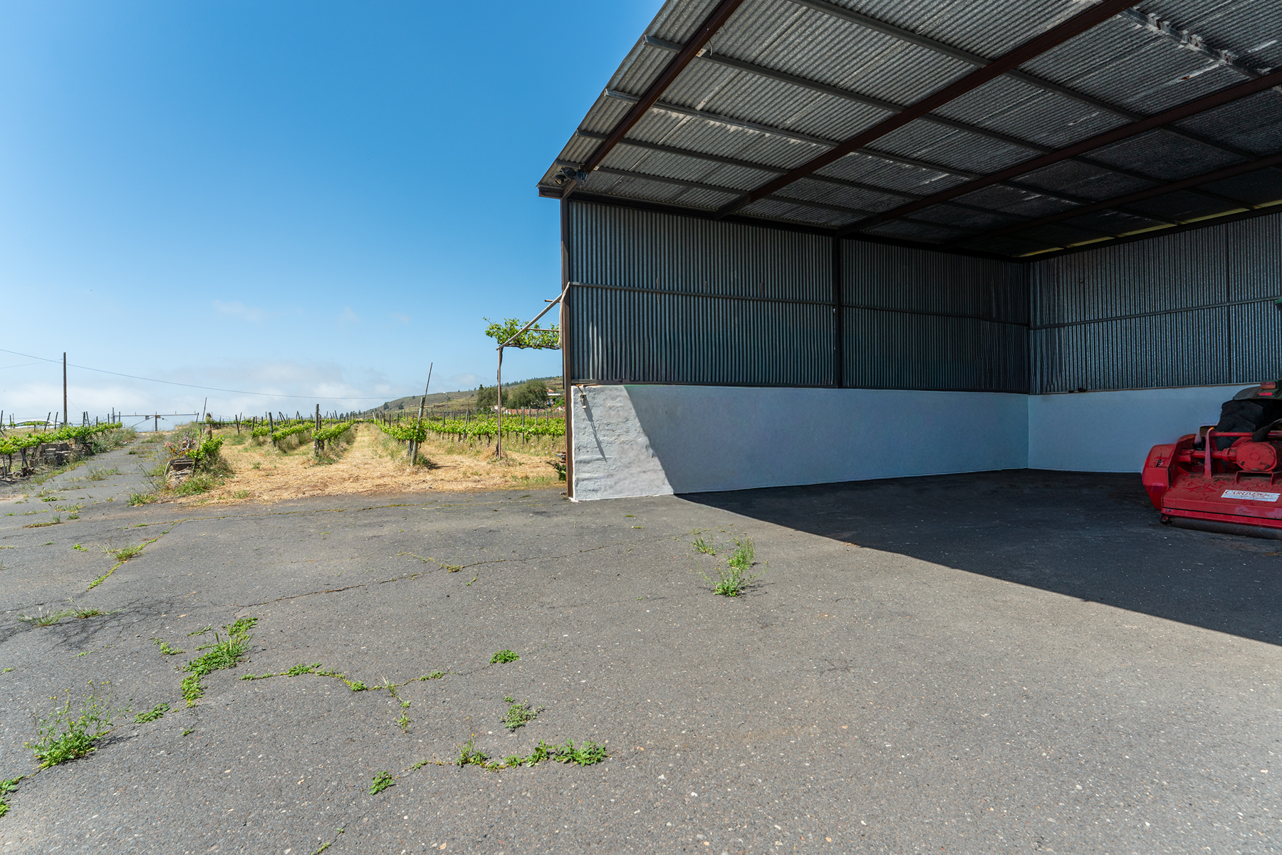  Traditional Agricultural Estate with Winery in Tenerife South - 物件實景