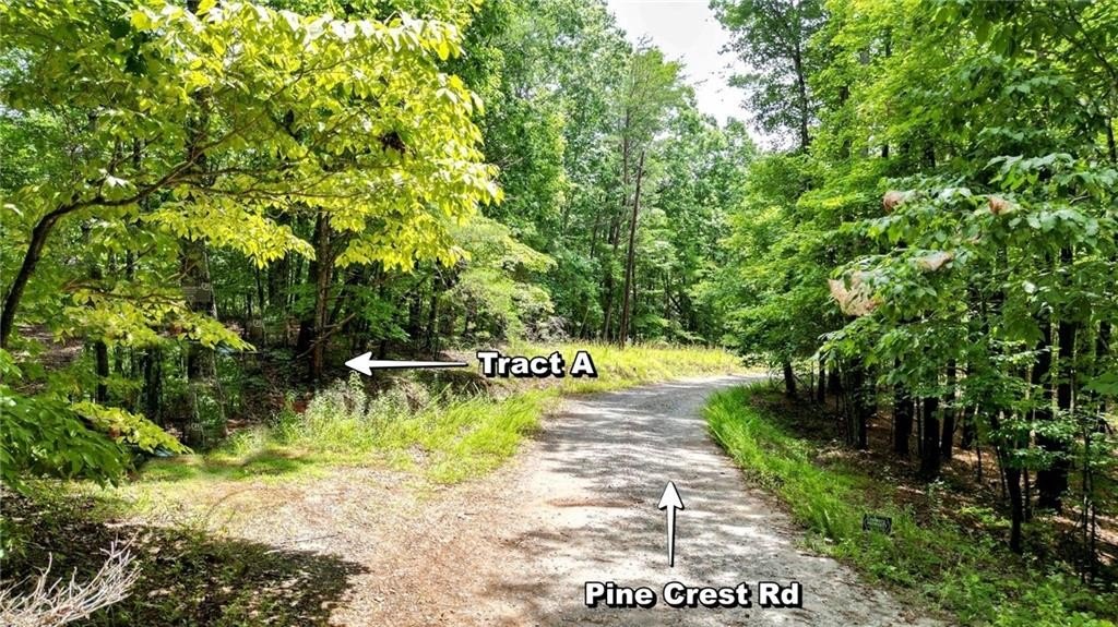 Jasper, Georgia, 30143, United States, ,Land,For Sale,1976881