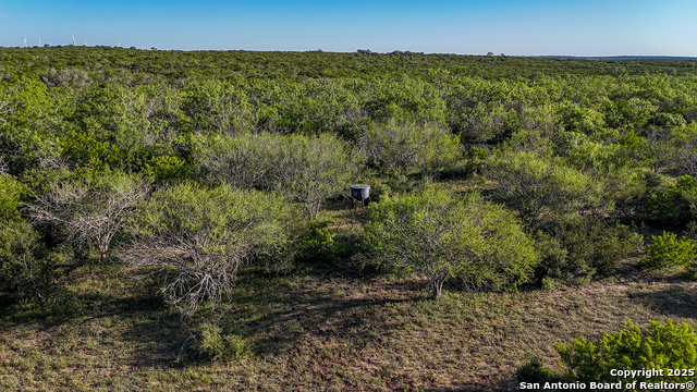 Beeville, Texas, 78102, United States, ,Land,For Sale,1942121