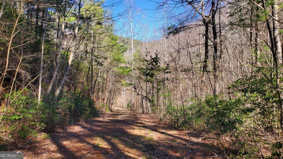 Cherry Log, Georgia, 30522, United States, ,Land,For Sale,1859131