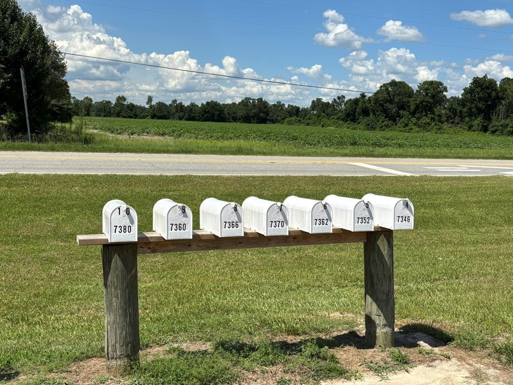 Ray City, Georgia, 31645, United States, ,Residential,For Sale,1991935