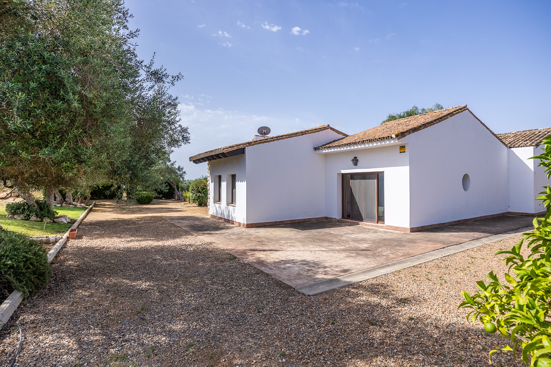  Exclusive equestrian estate next to the Pre-Coto de Doñana - 物件實景