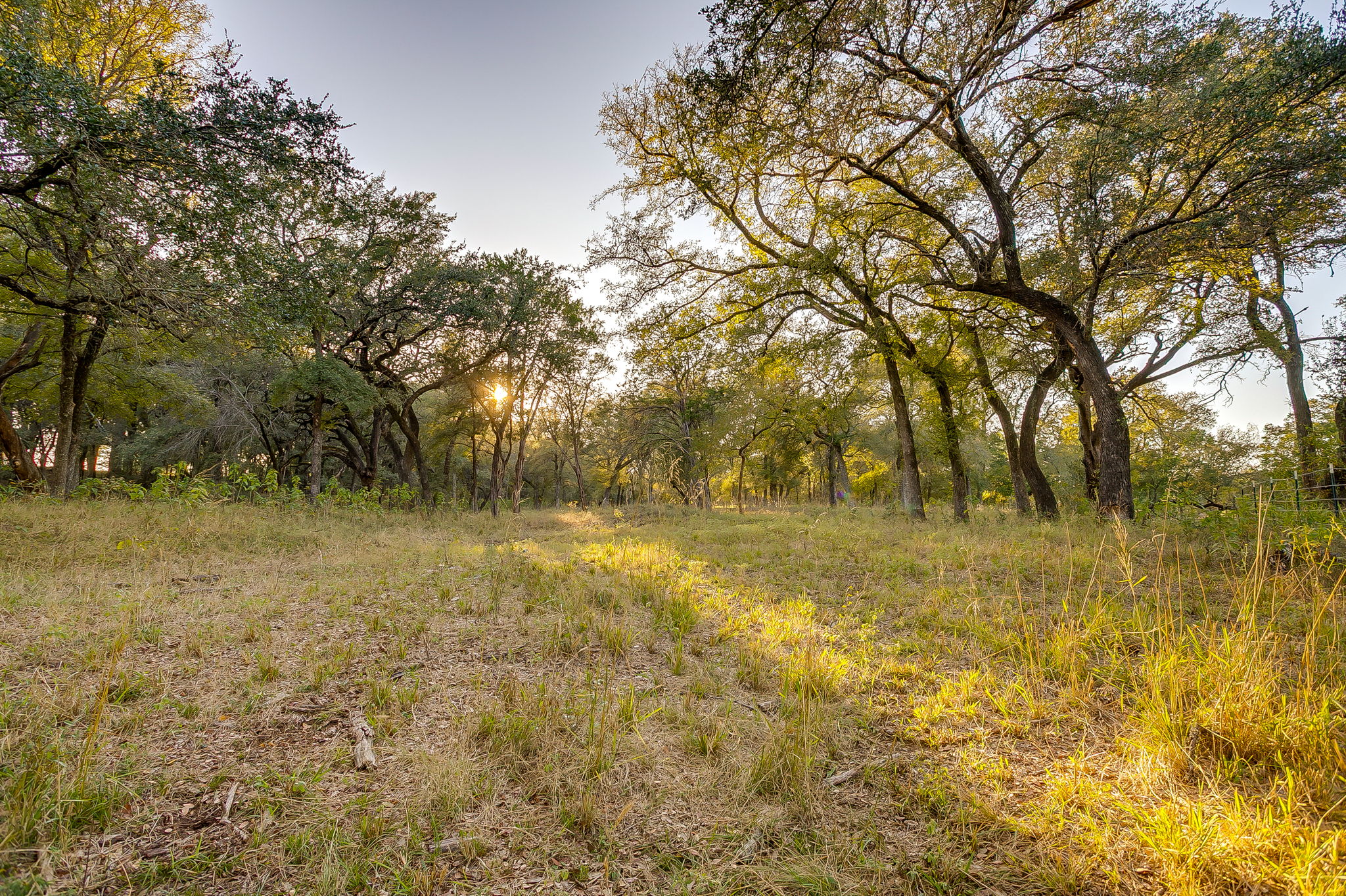  Lot 39 River Canyon, Mineral Wells, TX, 76484 - 物件實景