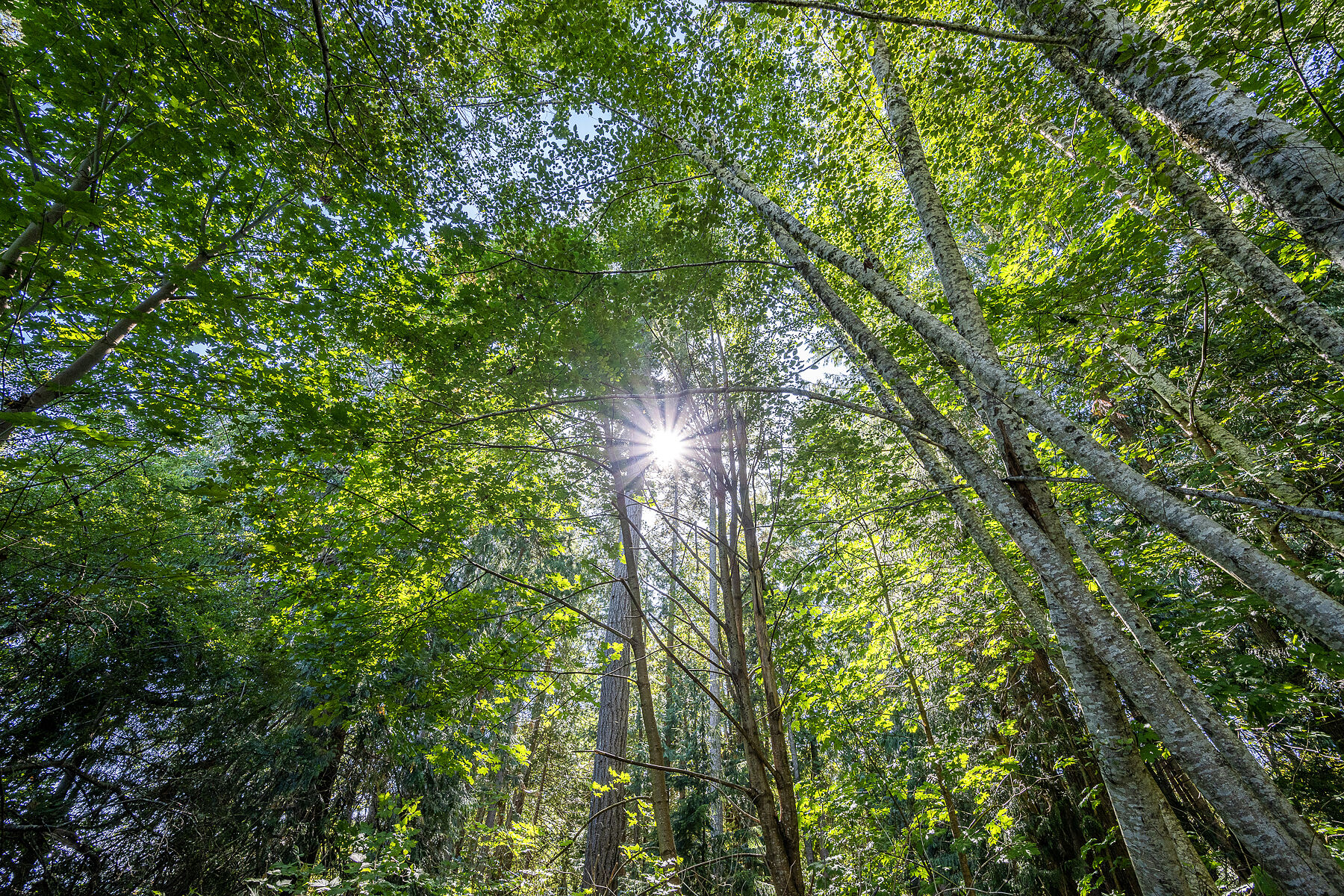  37 Acre Oceanfront Estate - 物件實景