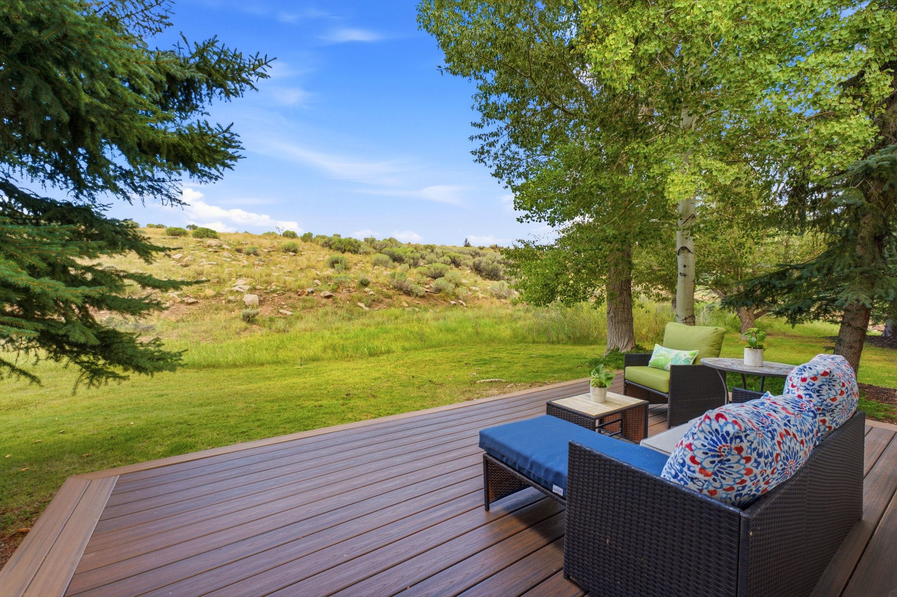  Park Meadows Gem With Big Views to the Mountains - 物件實景