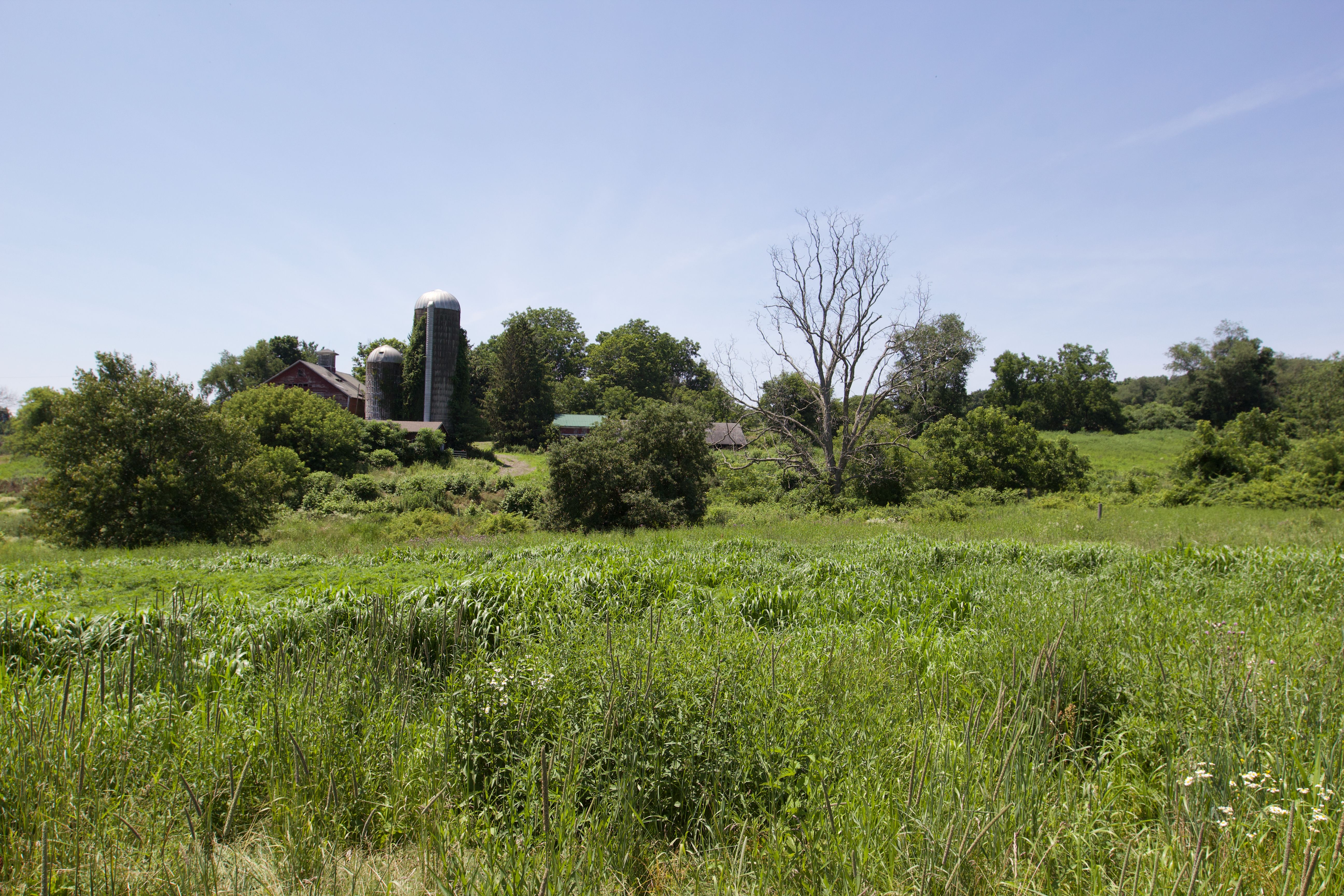  90 West End Road, Hillsdale, NY 12529 - 物件實景