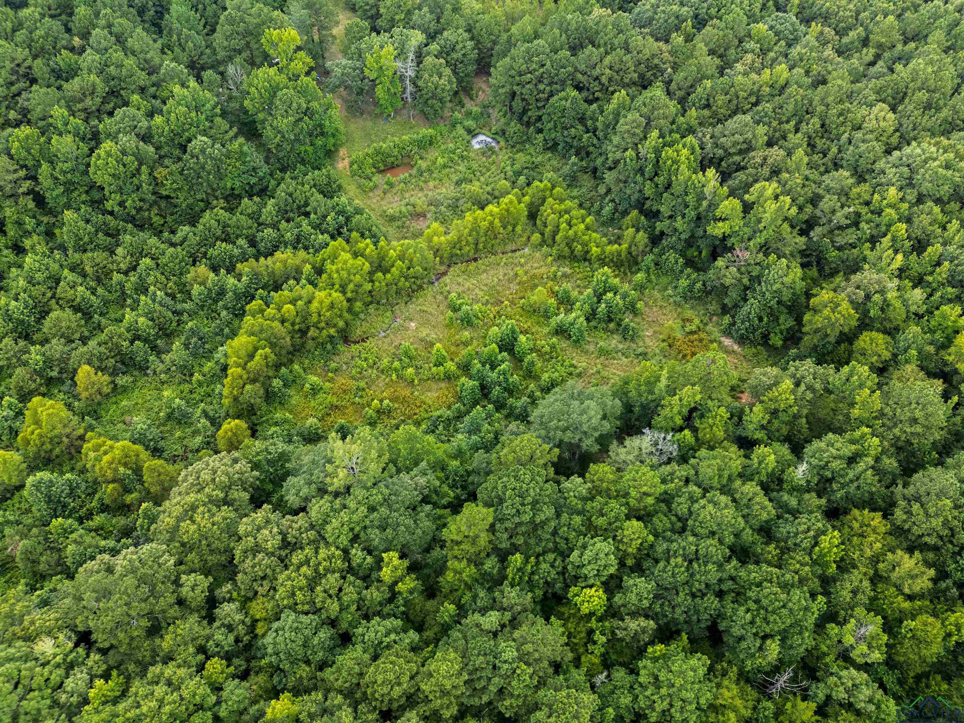 Jefferson, Texas, 75657, United States, ,Land,For Sale,1890245