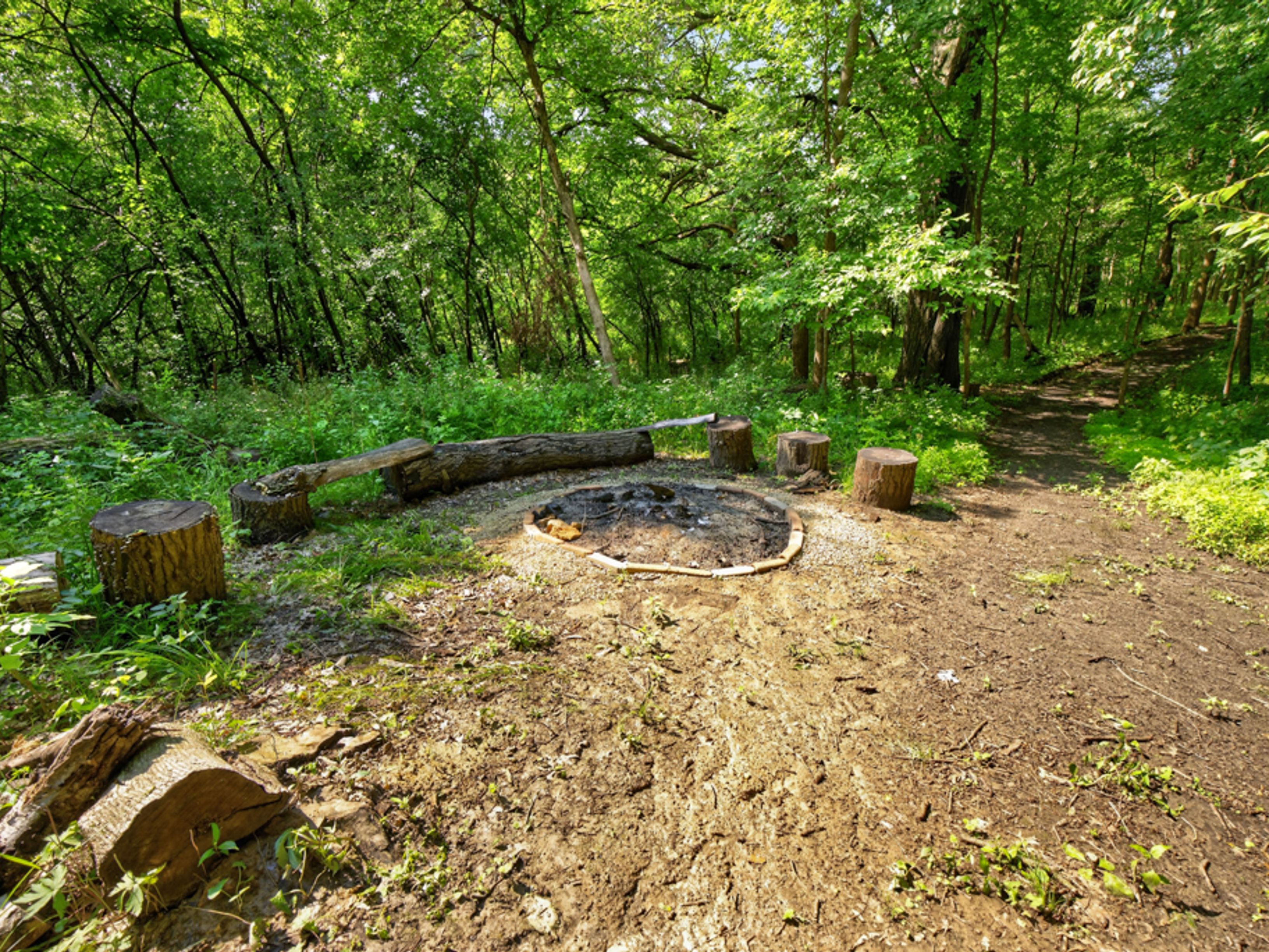  Rare Wooded Estate in Prestigious Huntington Woods - 物件實景