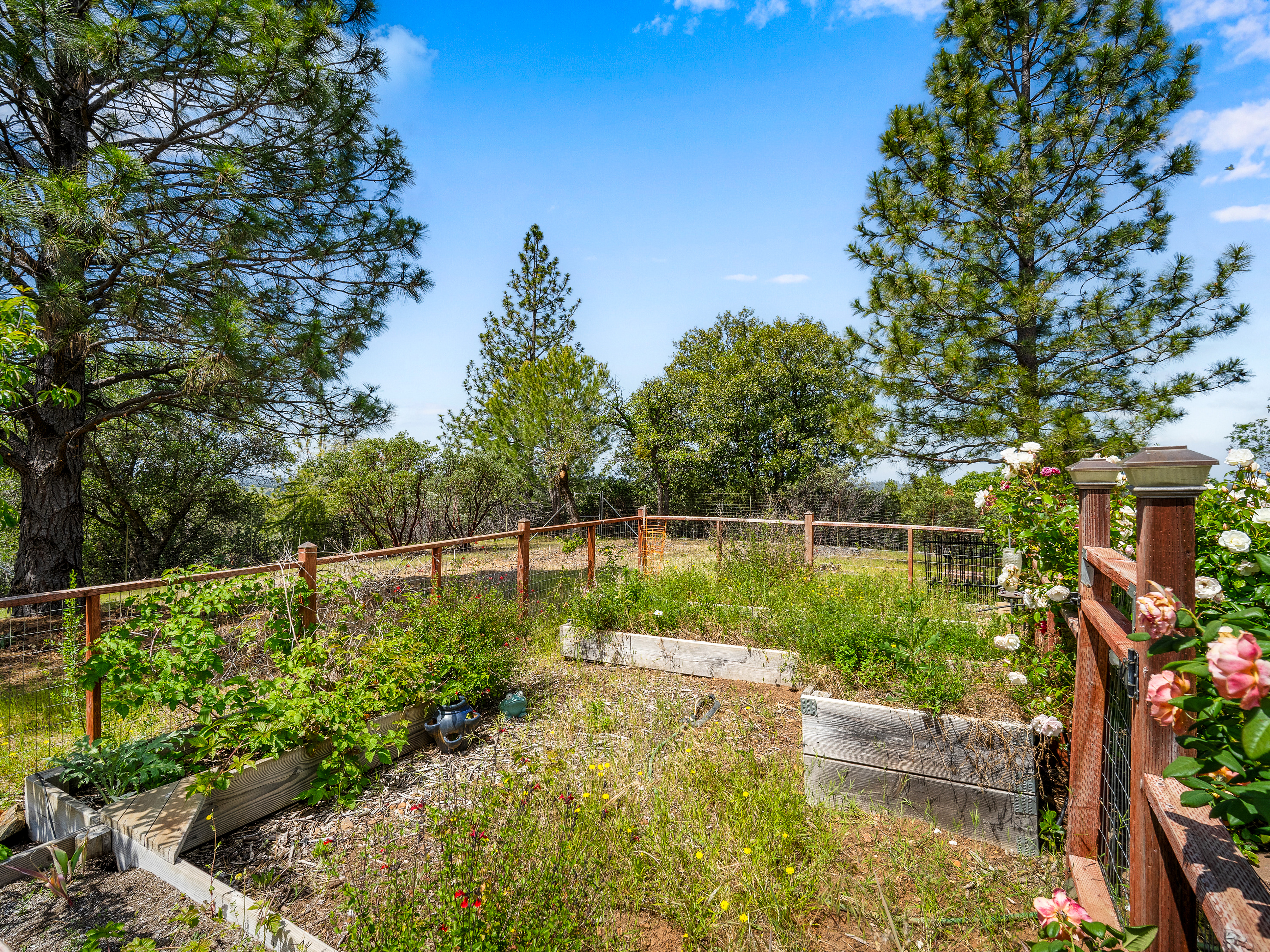  13185 Trent Court, Jackson, CA 95642 - 物件實景