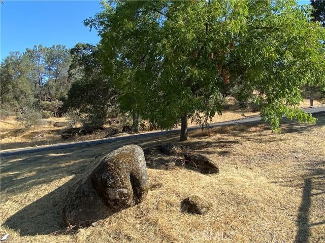 Coarsegold, California, 93614, United States, 4 Bedrooms Bedrooms, ,3 BathroomsBathrooms,Residential,For Sale,1915095