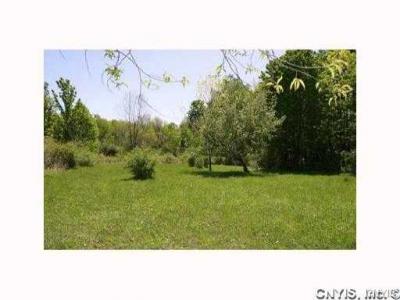 0000 Split Rock Road, Camillus, New York, 13031, United States, ,Land,For Sale,0000 Split Rock Road,1431057