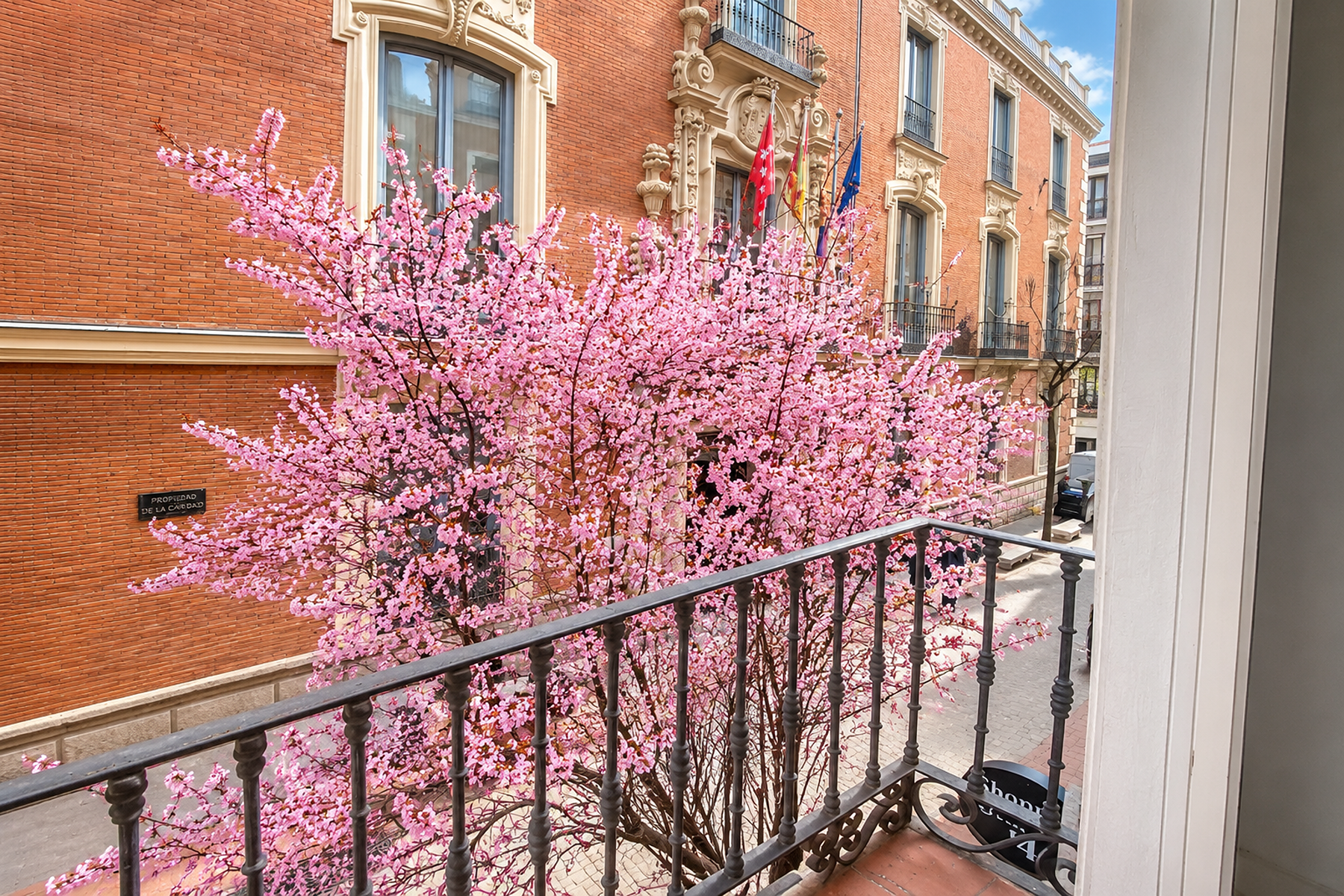  Magnificent flat to refurbish in the literary quarter - 物件實景