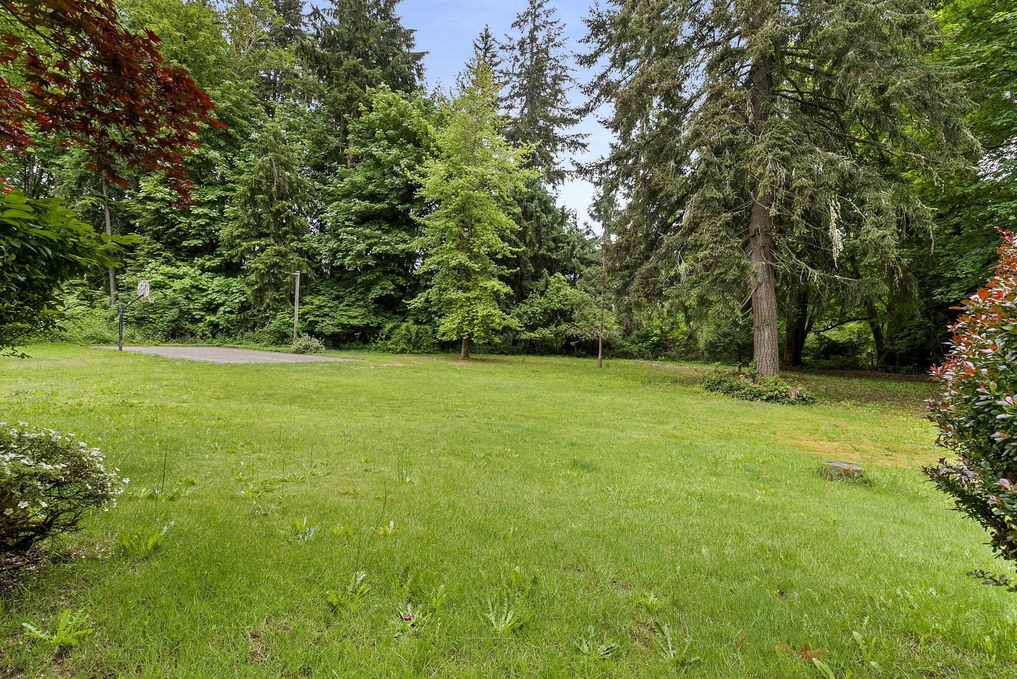  3809 74th Ave SE Olympia, WA 98501 - 物件實景