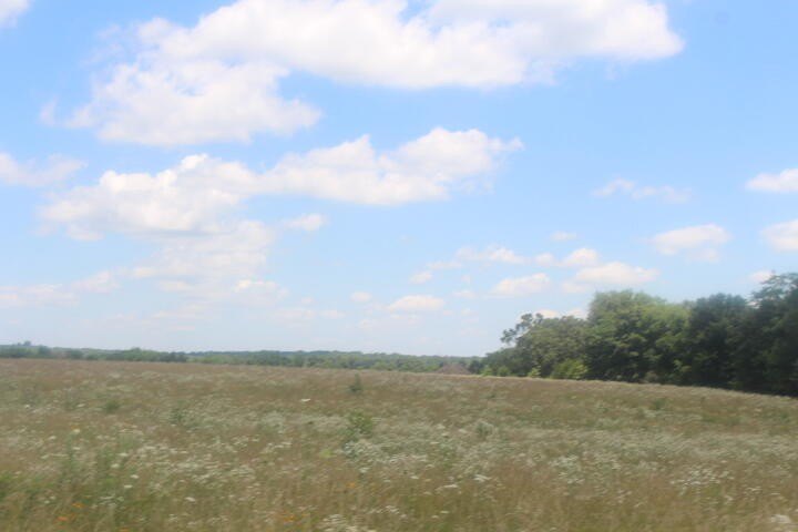 Polk, Missouri, 65727, United States, ,Land,For Sale,1980569