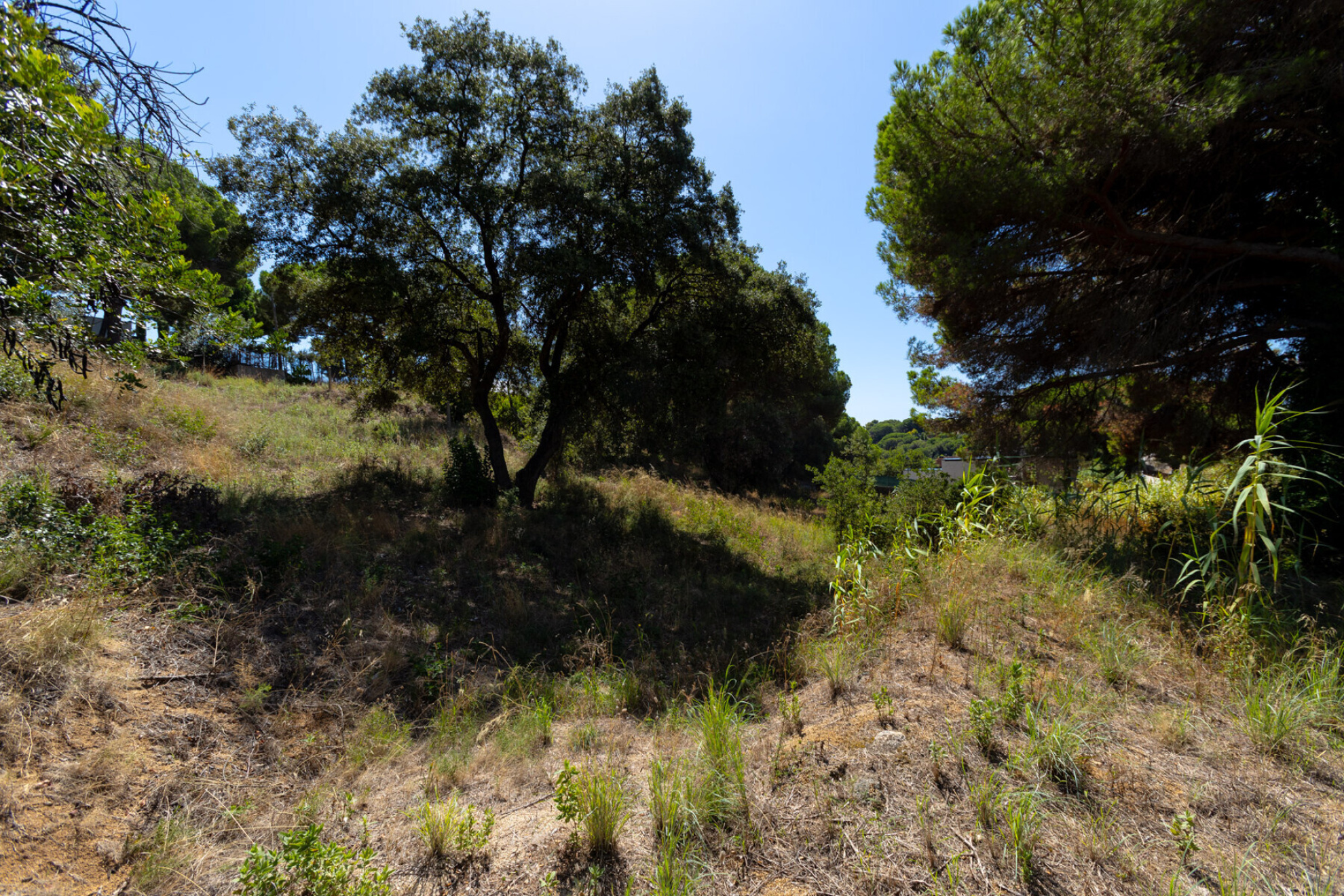  Two adjoining plots in Rocaferrera, Sant Andreu de Llavaneres - Costa BCN - 物件實景