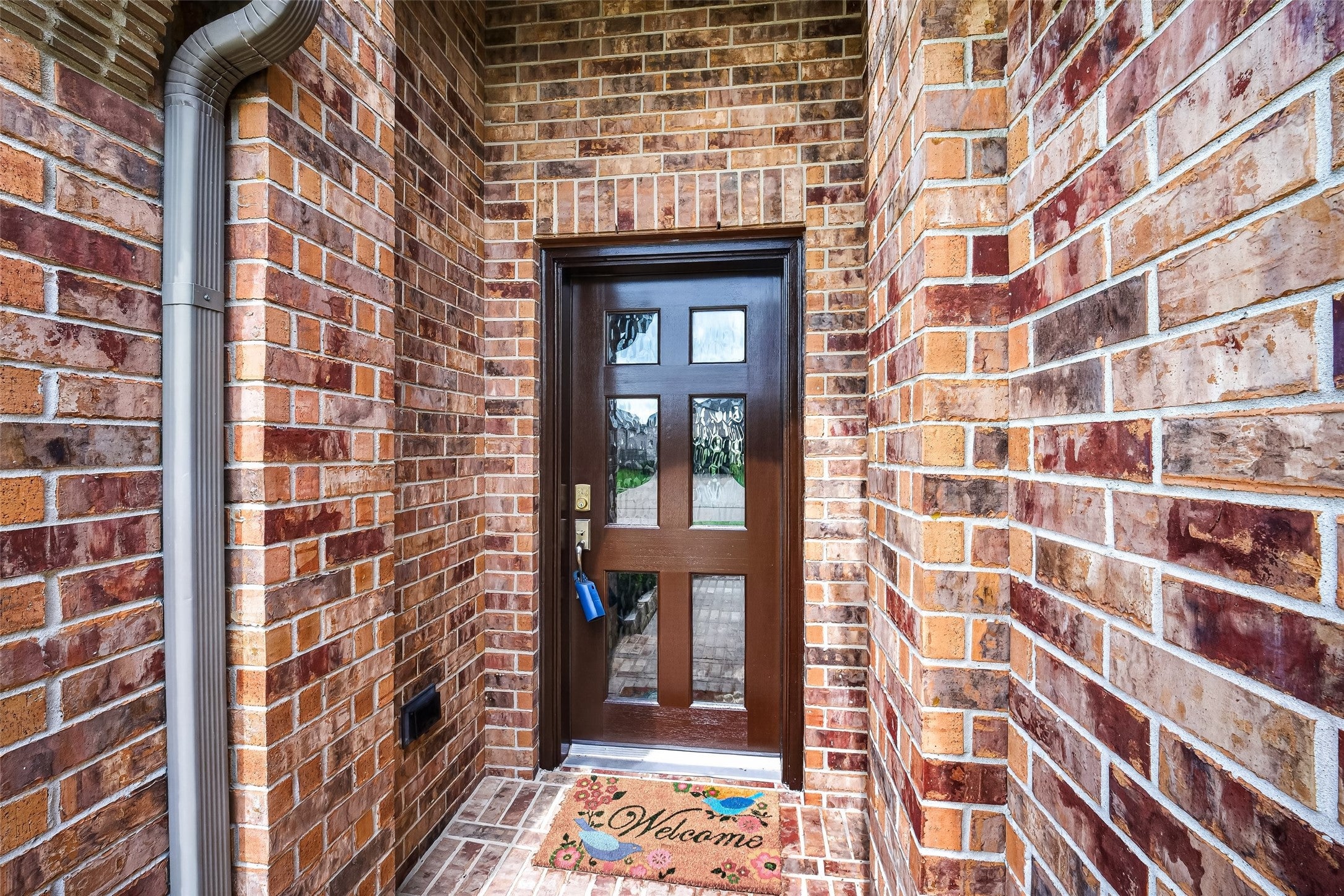 Blackhawk Ridge Ln, Manvel, TX 77578 #1