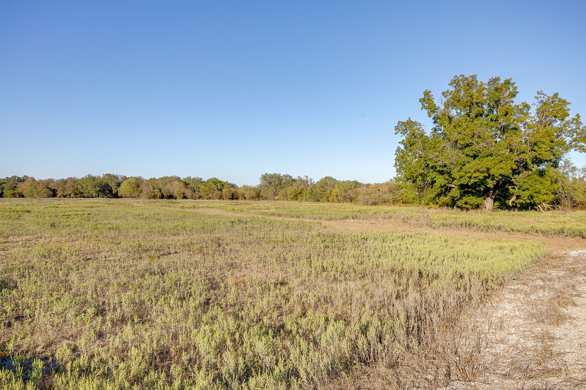  Lot 39 River Canyon, Mineral Wells, TX, 76484 - 物件實景