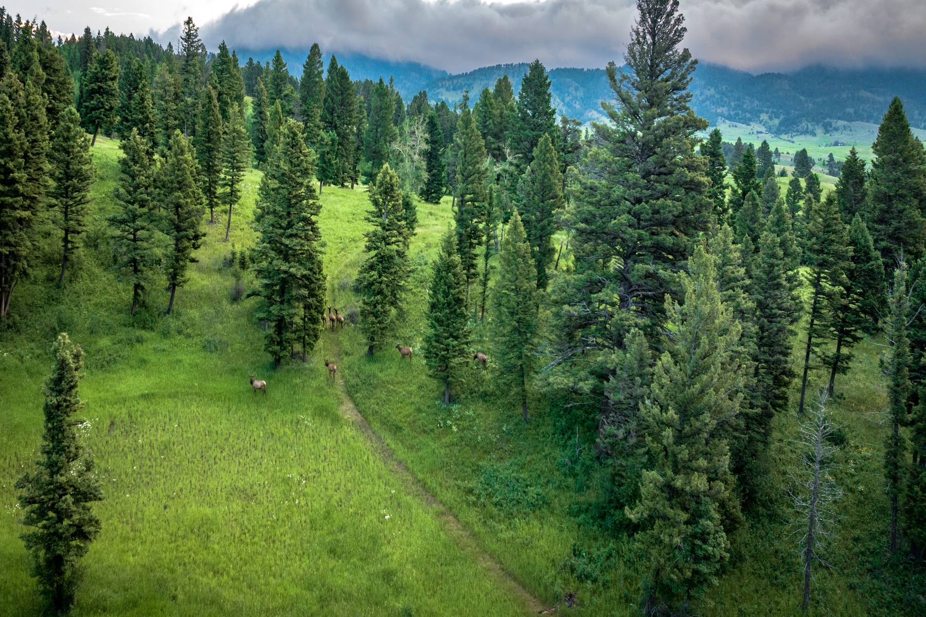  Ranch 12 North Pass Ranches - 物件實景