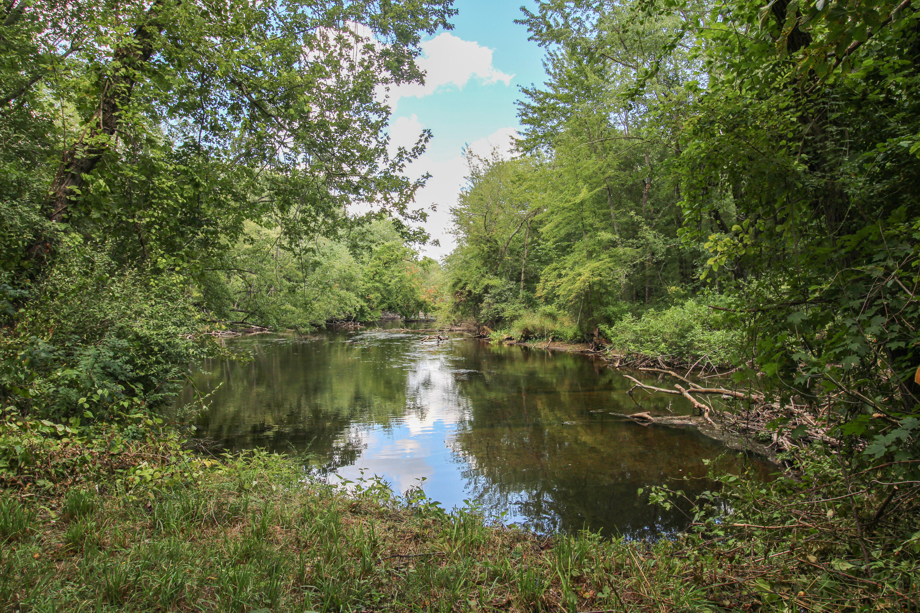 Three Rivers, Michigan, 49093, United States, 4 Bedrooms Bedrooms, ,1 BathroomBathrooms,Residential,For Sale,2006073
