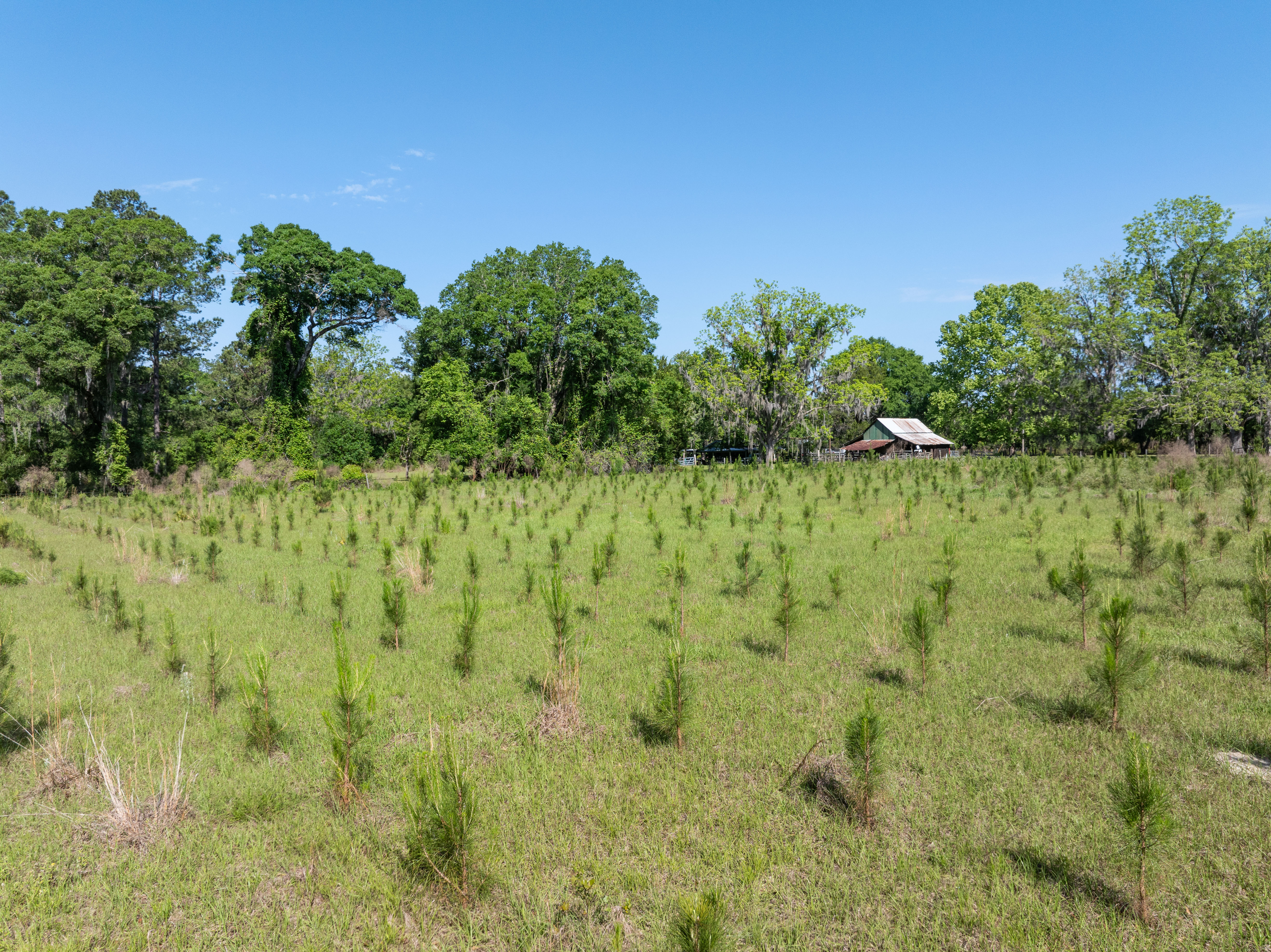 Lake City, Florida, 32025, United States, 3 Bedrooms Bedrooms, ,2 BathroomsBathrooms,Residential,For Sale,1737016