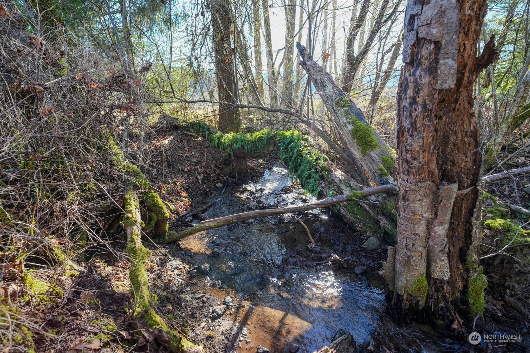 Glenoma, Washington, 98336, United States, 3 Bedrooms Bedrooms, ,2 BathroomsBathrooms,Residential,For Sale,1976898