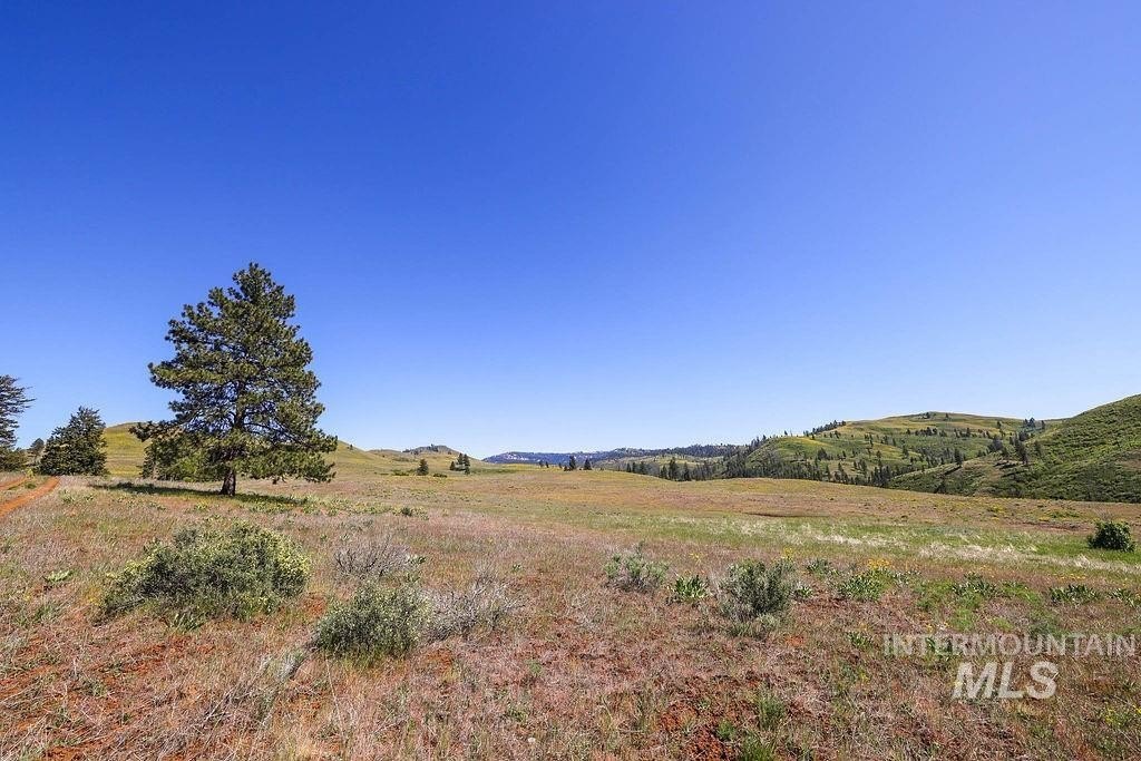 Council, Idaho, 83612, United States, ,Residential,For Sale,1862004
