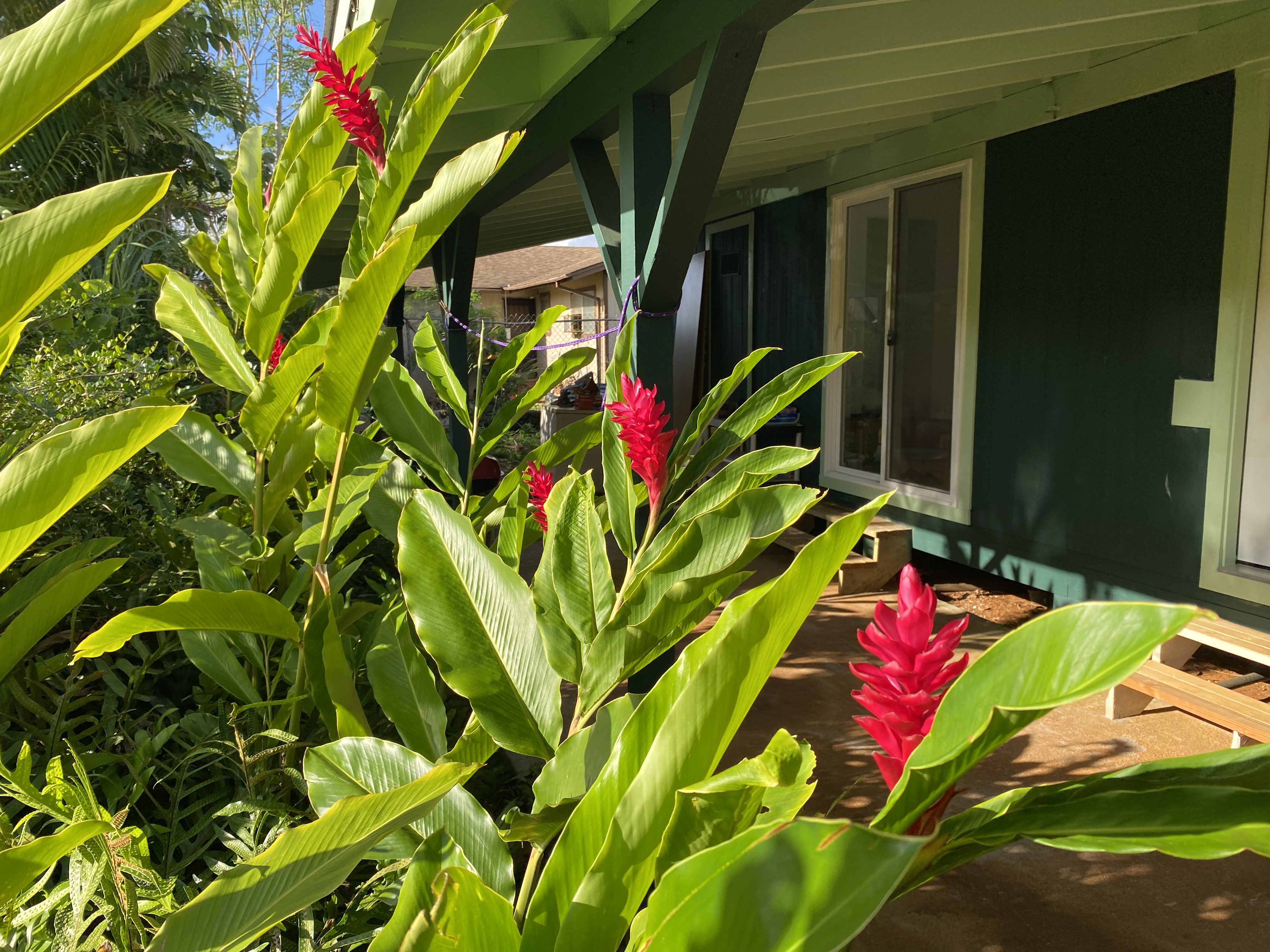 Kapaa, Hawaii, 96746, United States, 3 Bedrooms Bedrooms, ,2 BathroomsBathrooms,Residential,For Sale,1992943