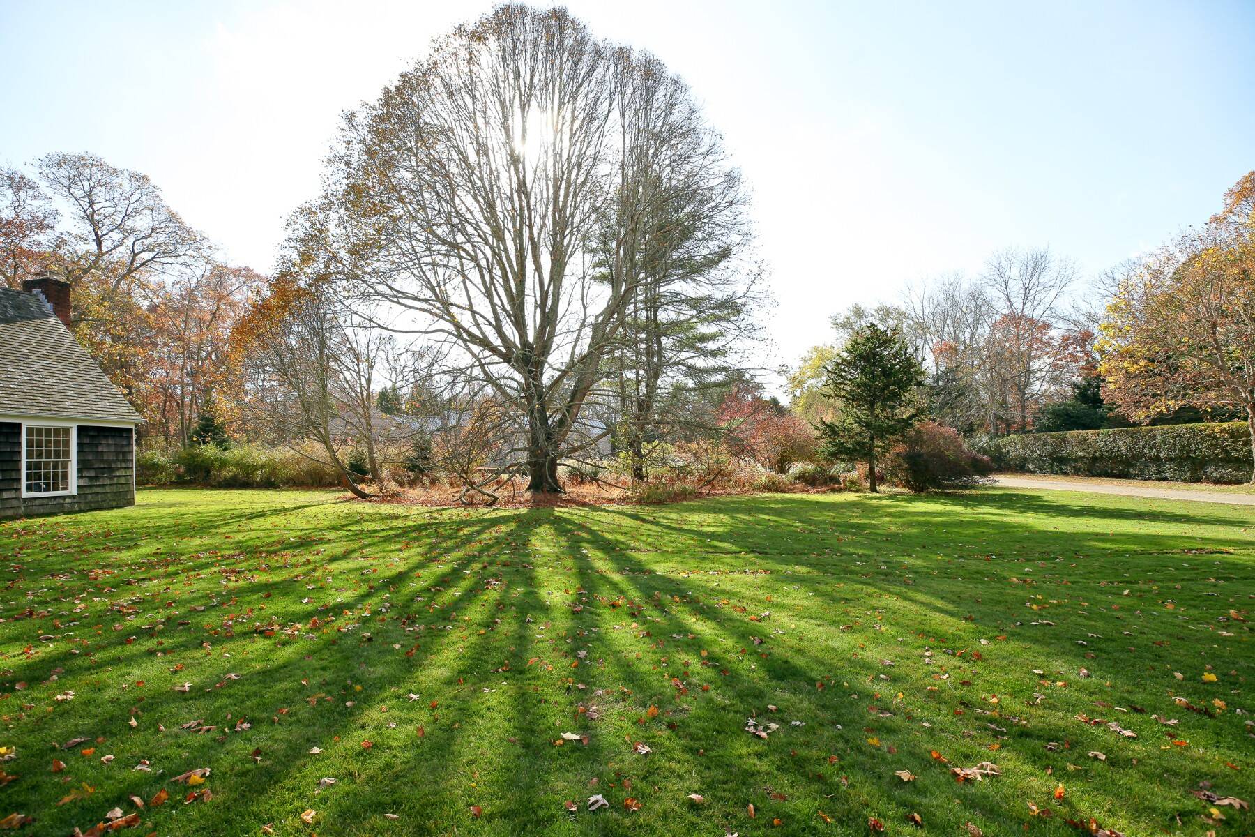  Prime Acre East Hampton-South of the Highway - 物件實景
