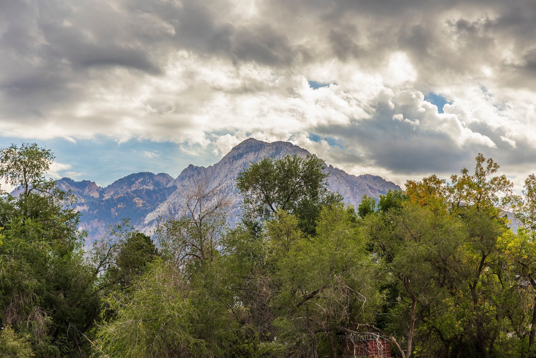  Build New in the Heart of Millcreek - 物件實景