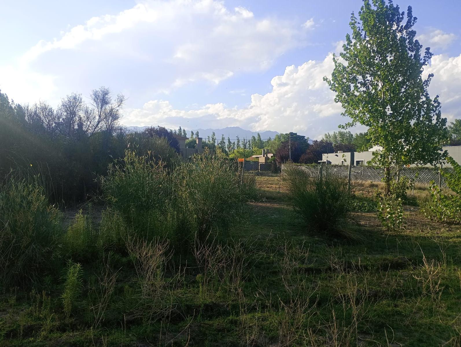 Lujan De Cuyo, AR-M, AR, ,Land,For Sale,1819994