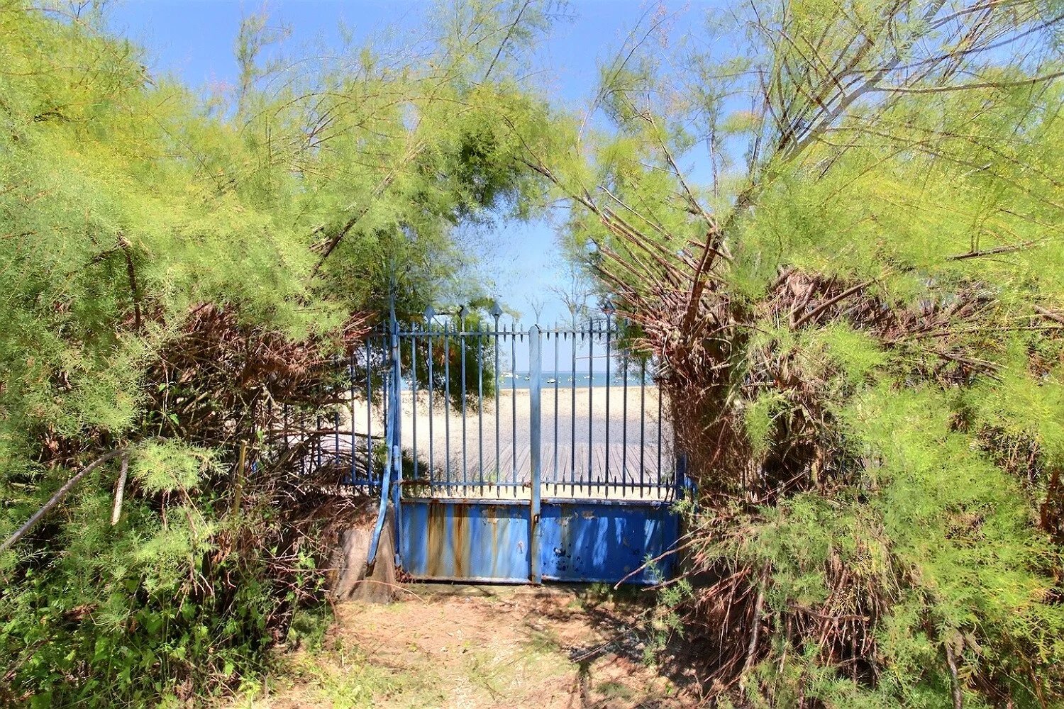 Arcachon, New Aquitaine, 33120, FR, ,Residential,For Sale,1995880